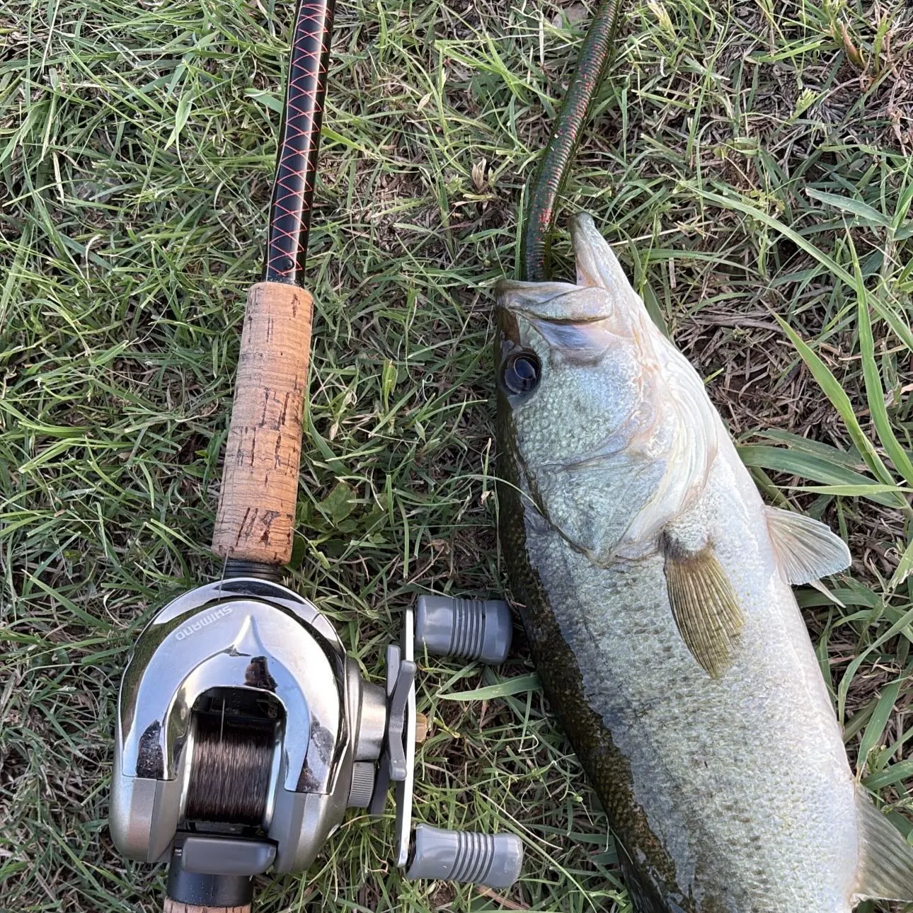 abu garcia 4000 spinning reel Beast Spinning Reel  Abu Garcia Fishing