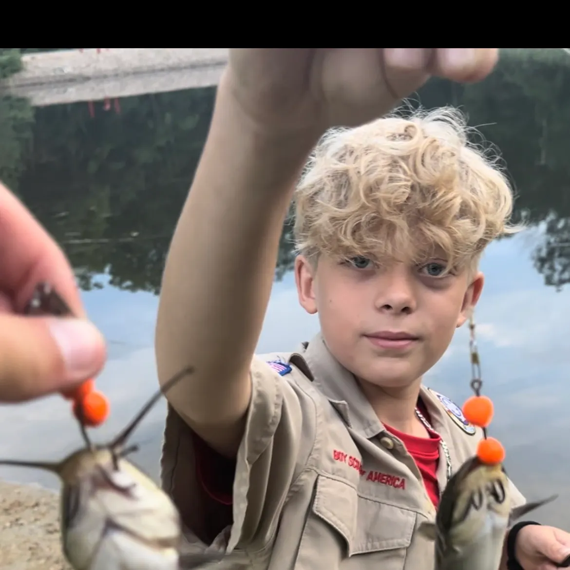 The most recent African butter catfish catches on Fishbrain