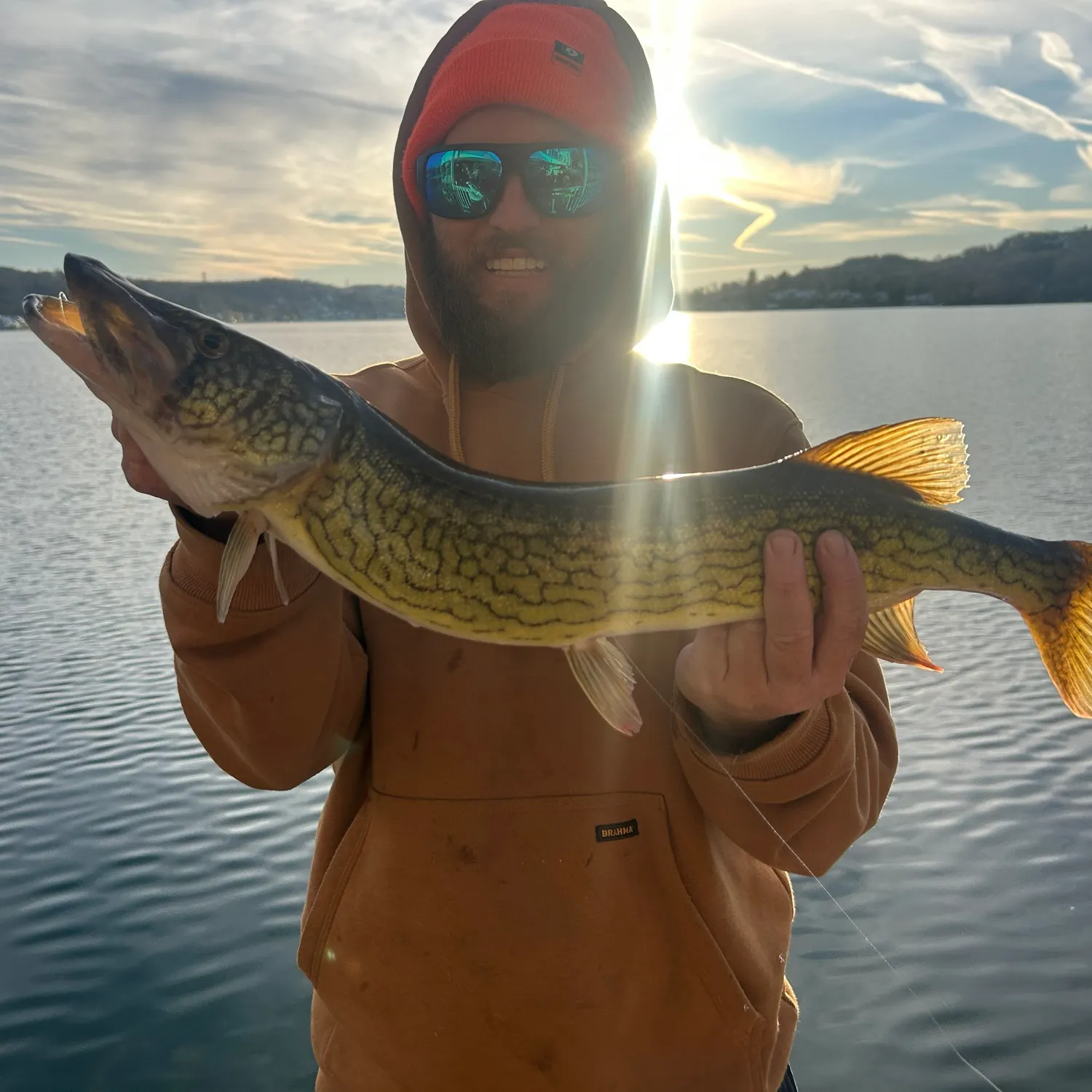 The most recent Chain pickerel catches on Fishbrain