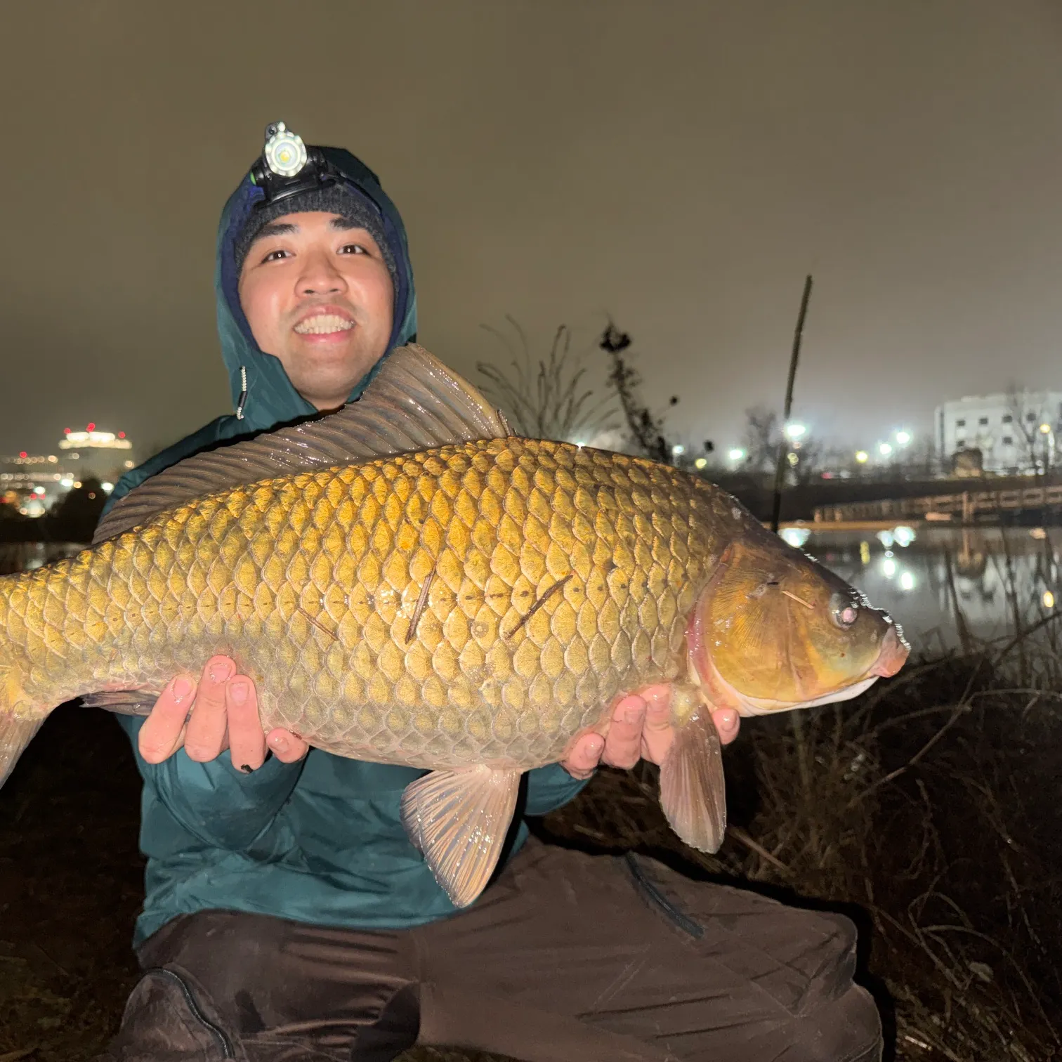 The most recent F1 carp catches on Fishbrain