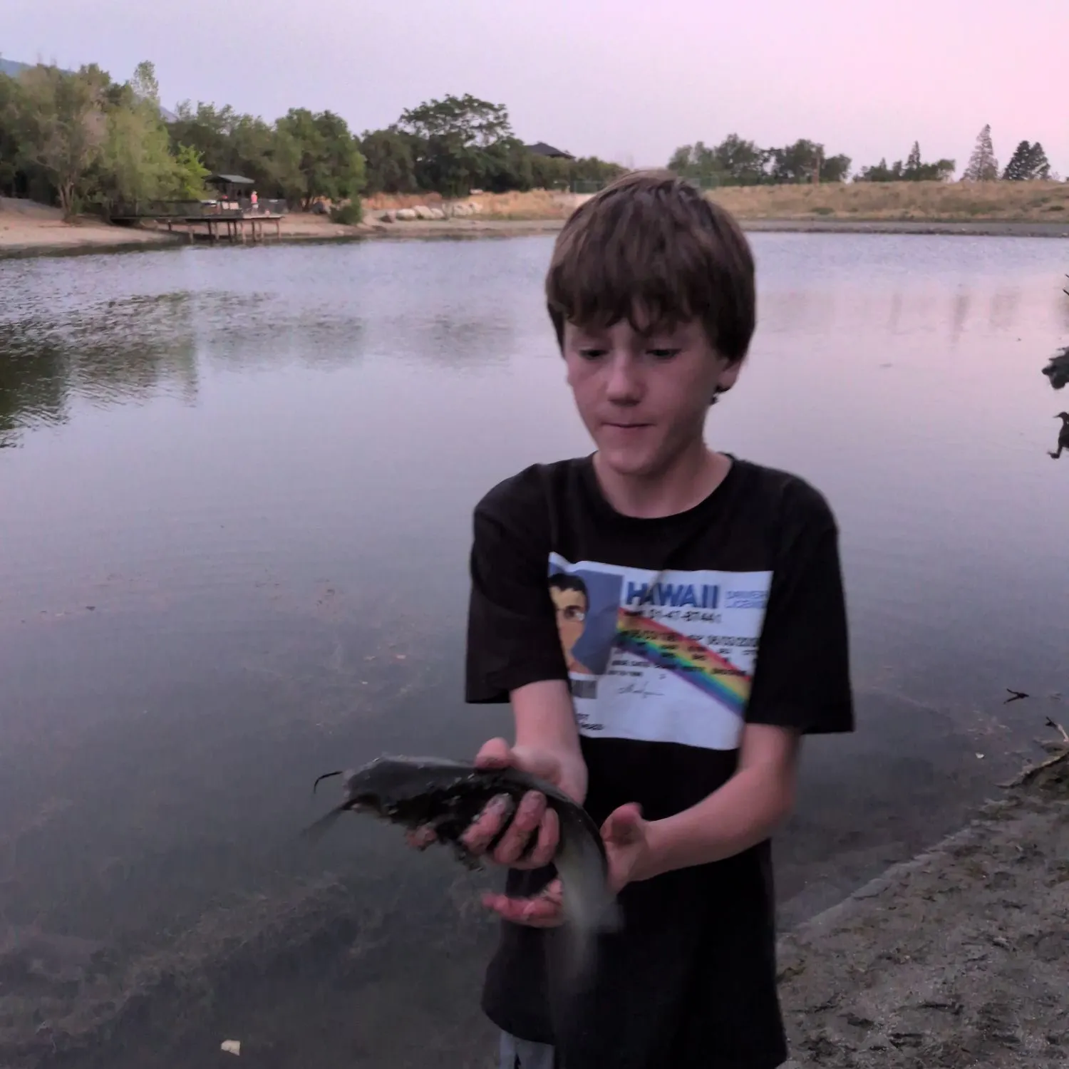 The most recent Giant sea catfish catches on Fishbrain