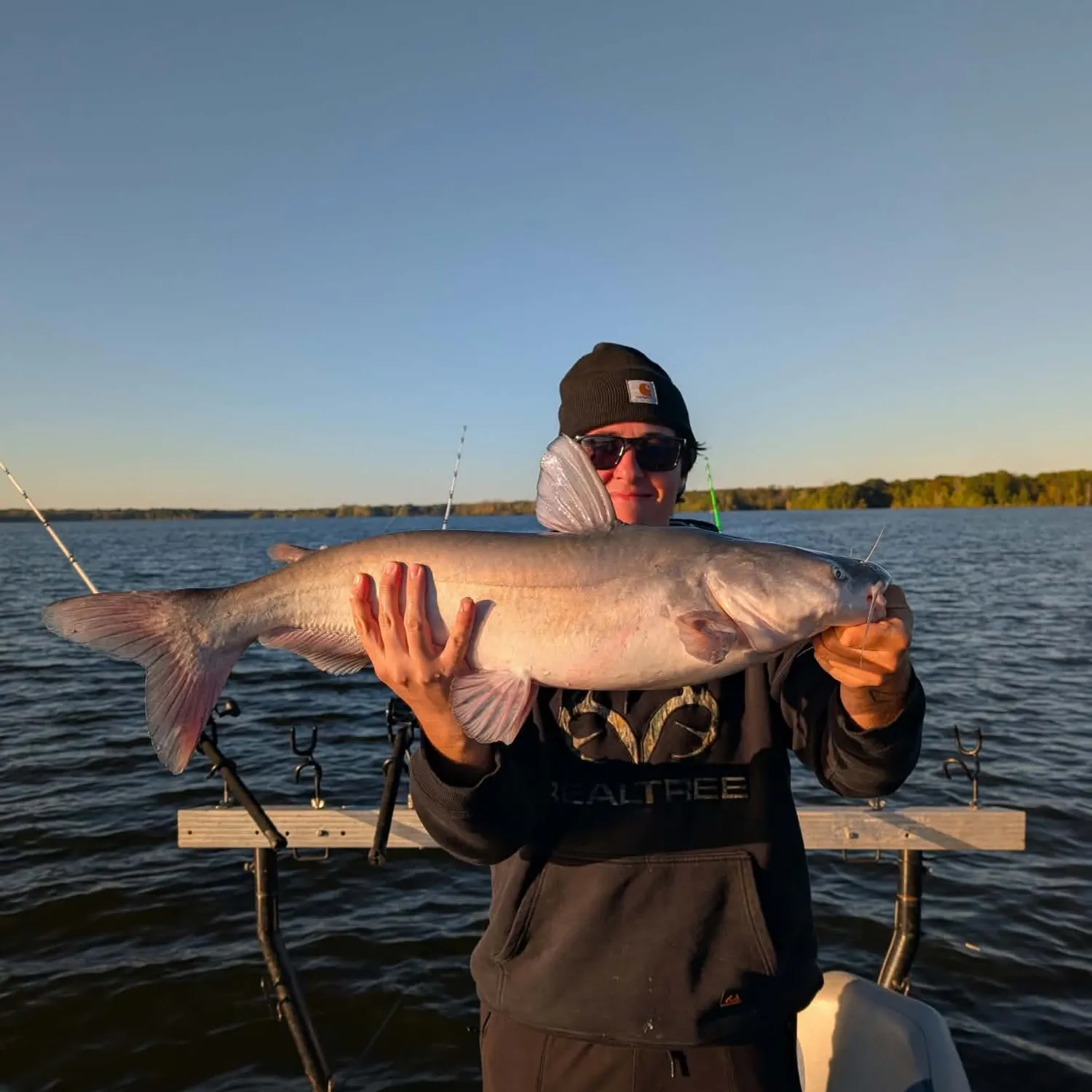 Blue catfish caught on Fishbrain