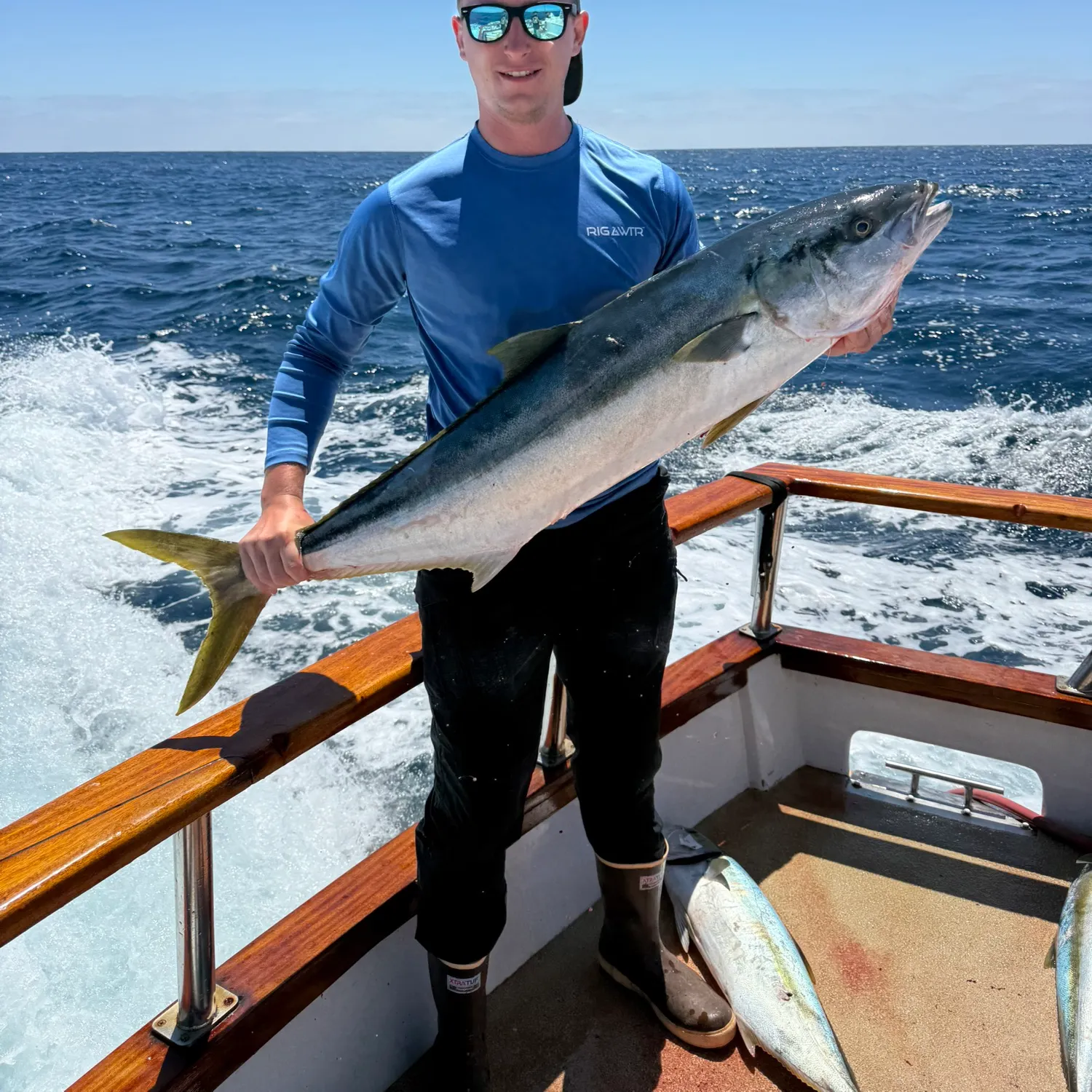The most recent California yellowtail amberjack catches on Fishbrain