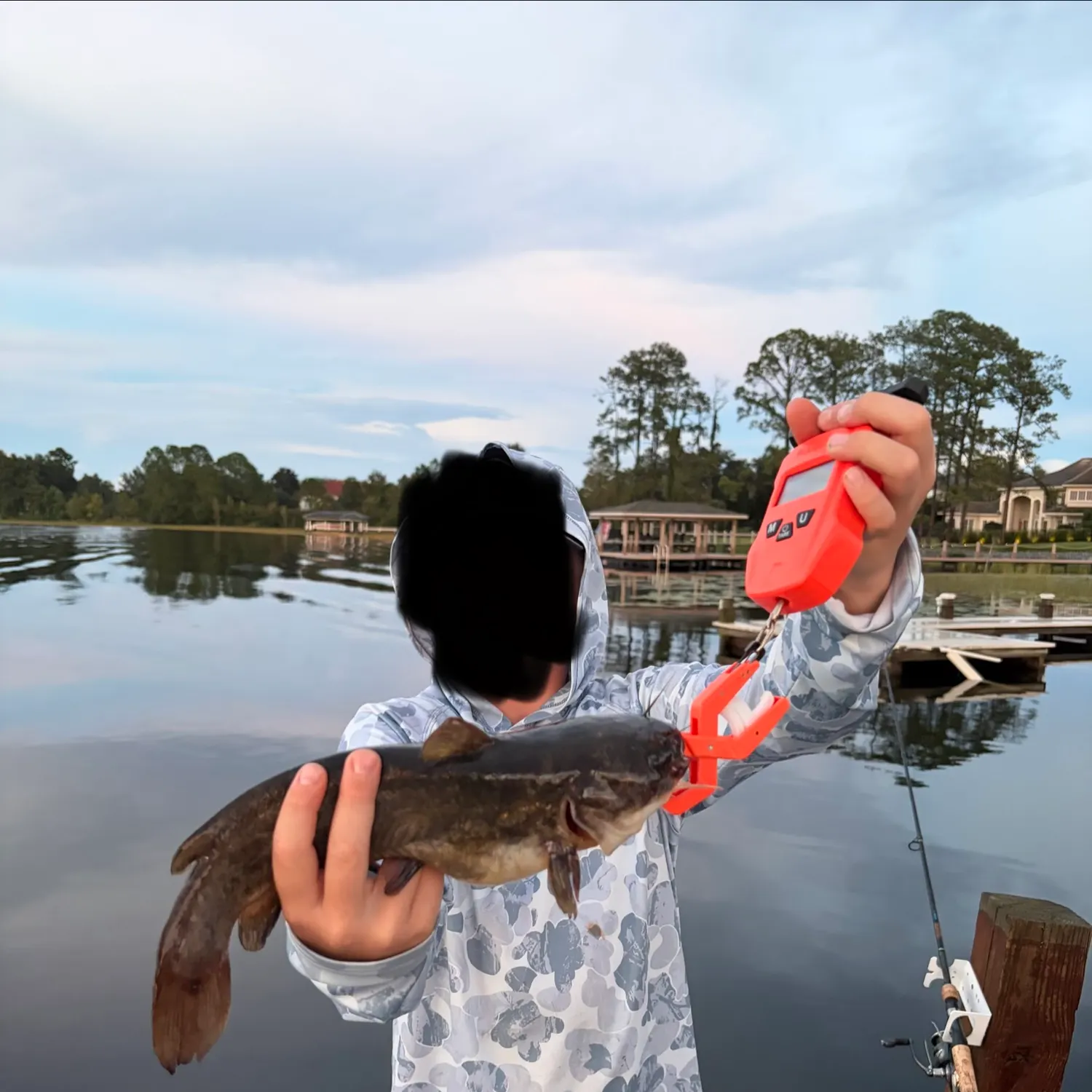 The most recent Black bullhead catches on Fishbrain