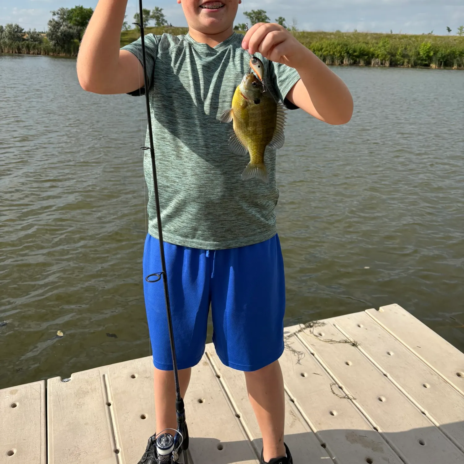 Bluegill caught on Fishbrain