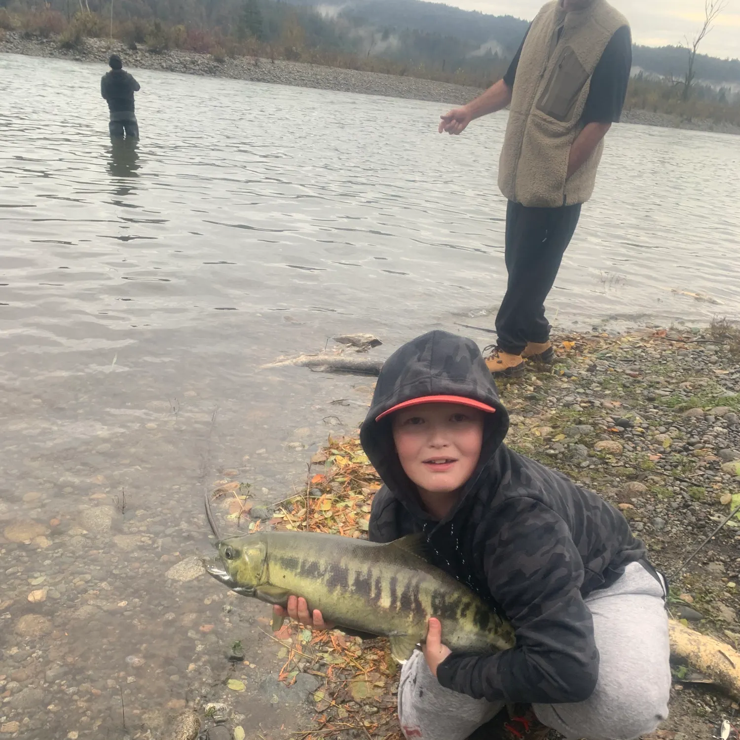 The most recent Chum salmon catches on Fishbrain