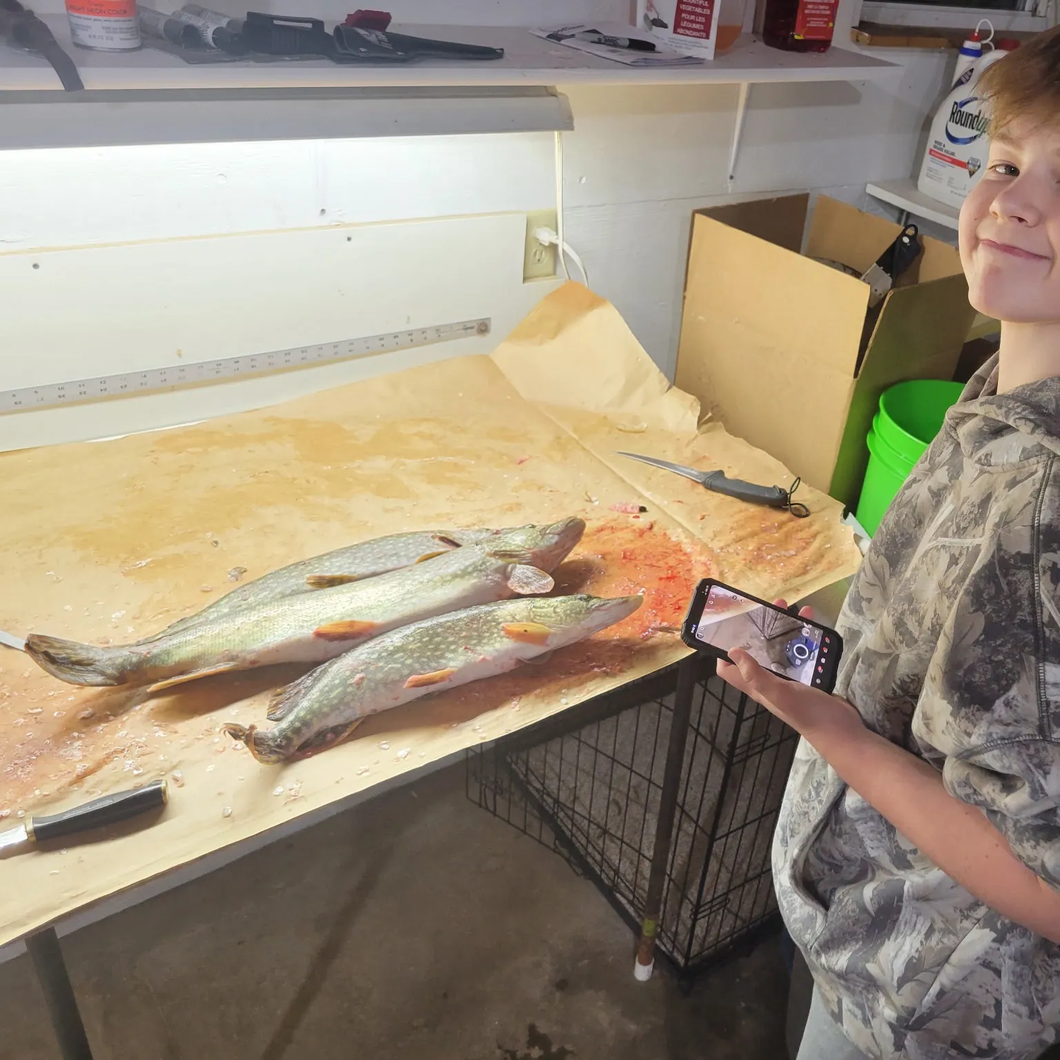 recently logged catches