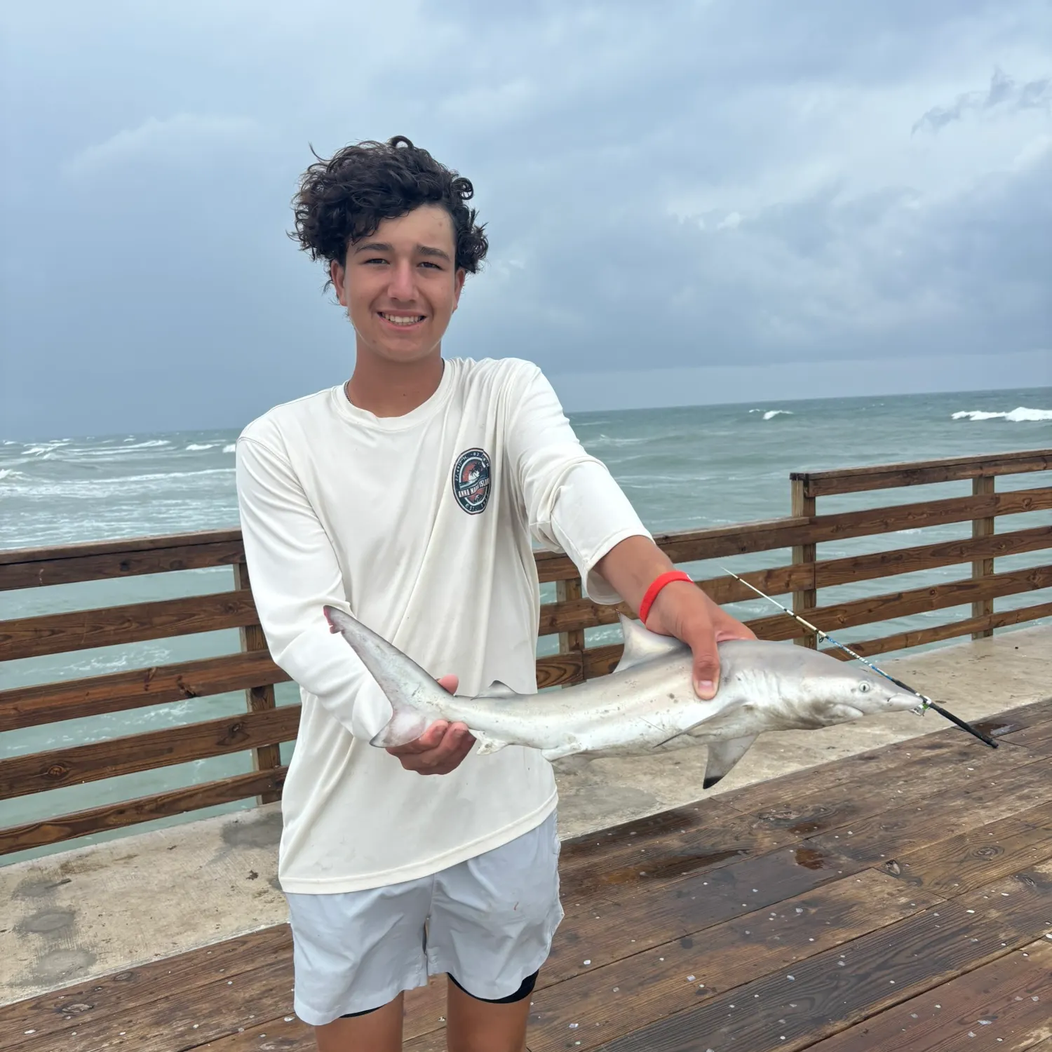 The most recent Blacktip shark catches on Fishbrain