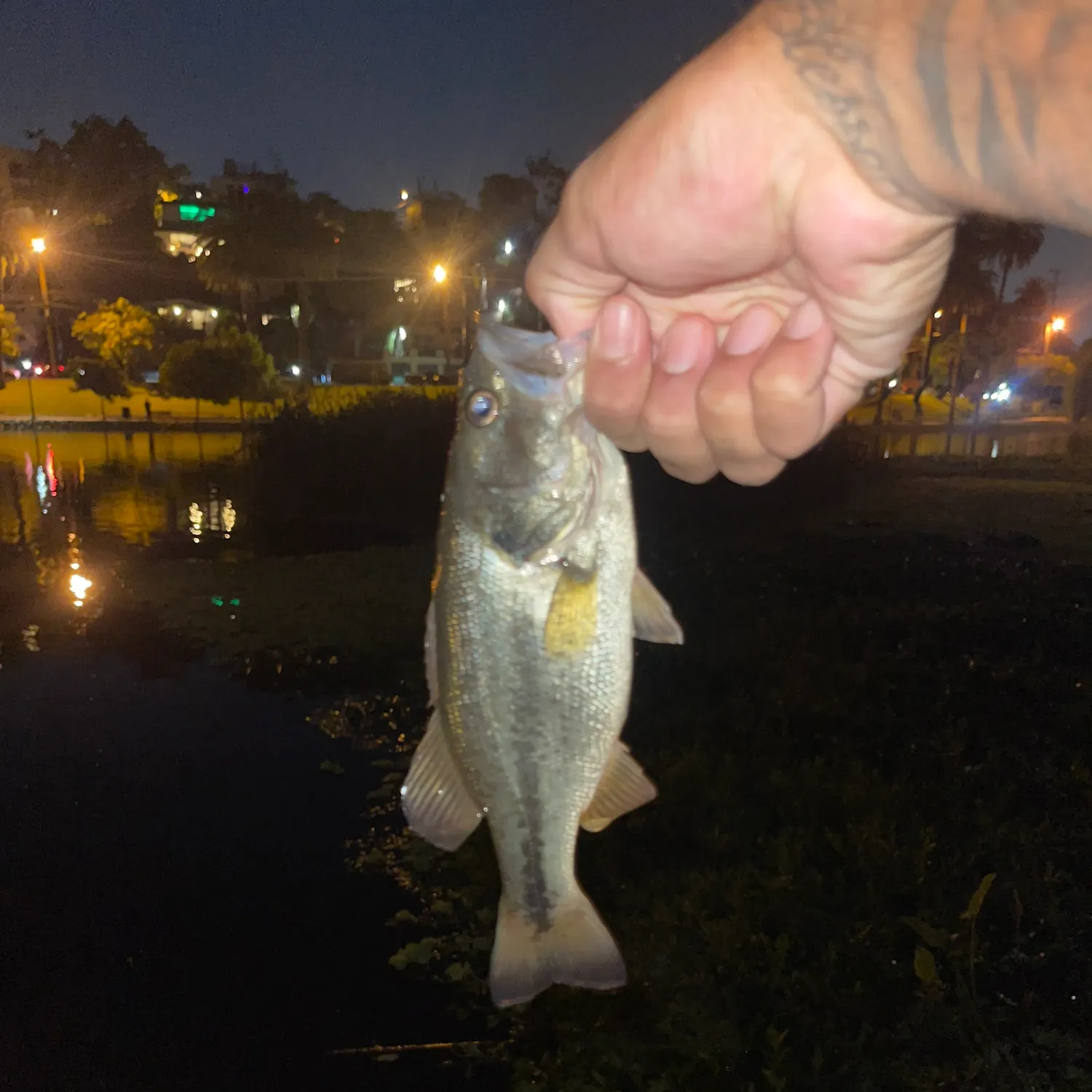 catch
