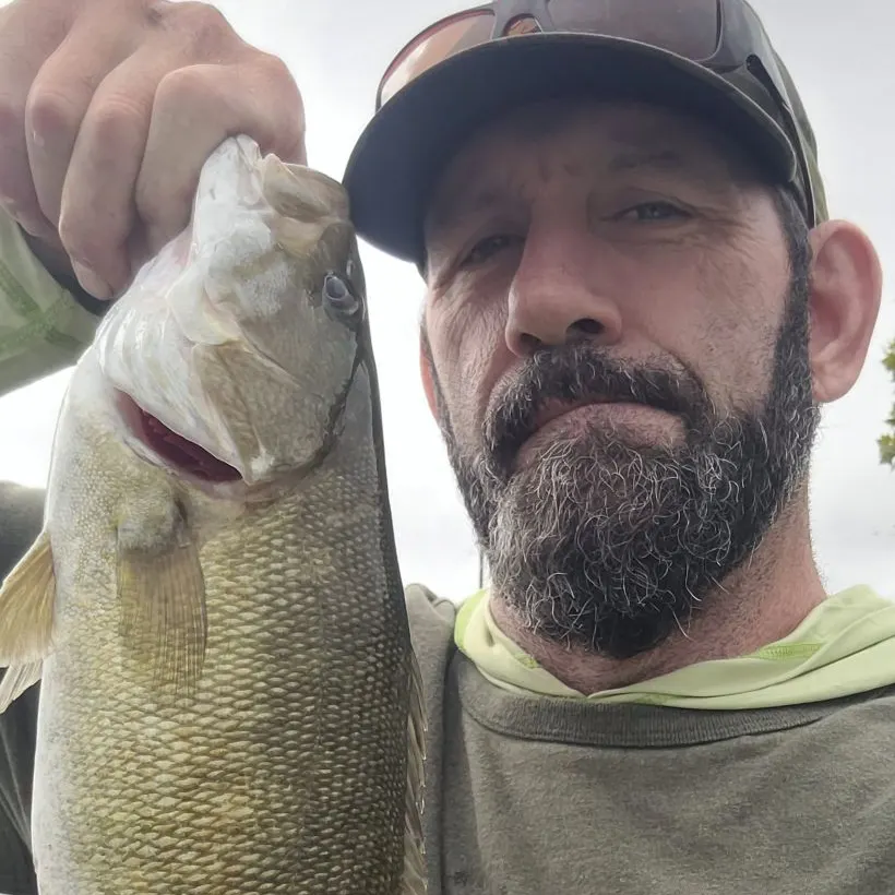 Smallmouth bass caught on Fishbrain