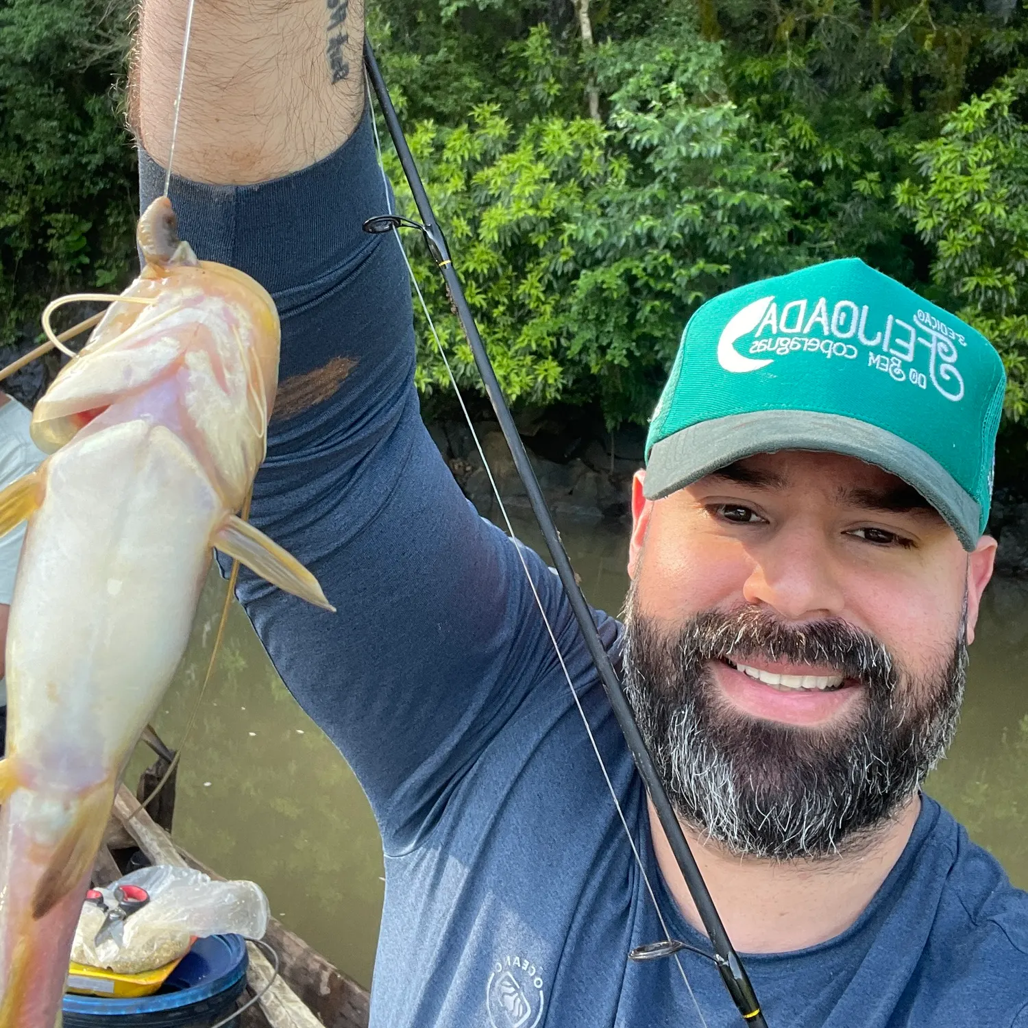 Silver catfish caught on Fishbrain