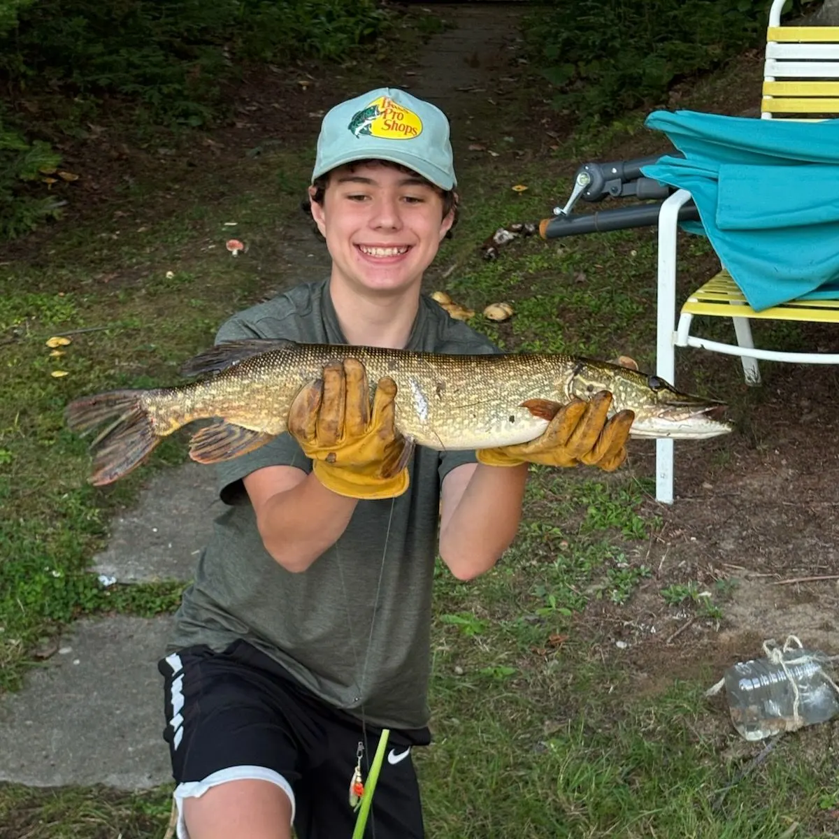 Northern pike caught on Fishbrain
