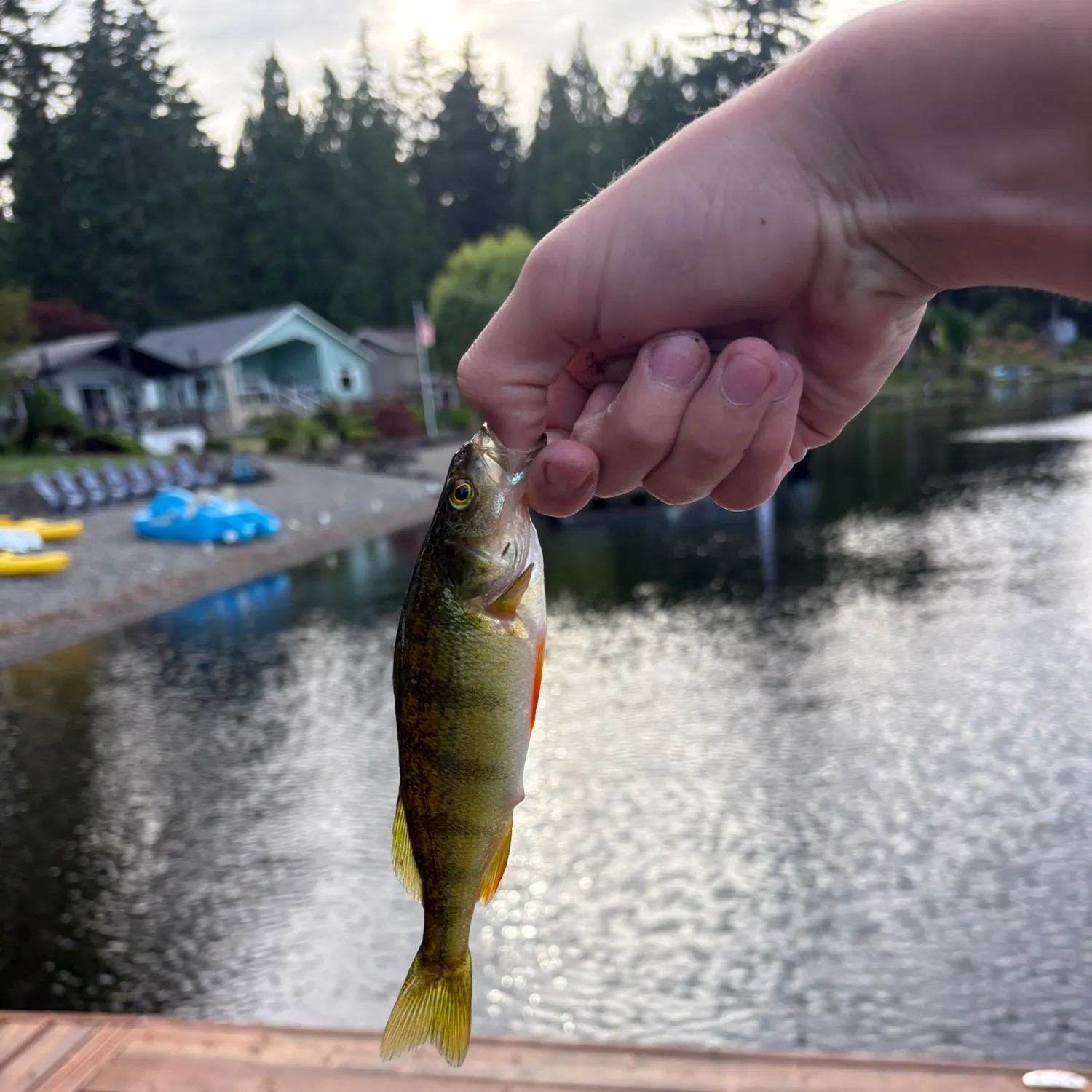 catch