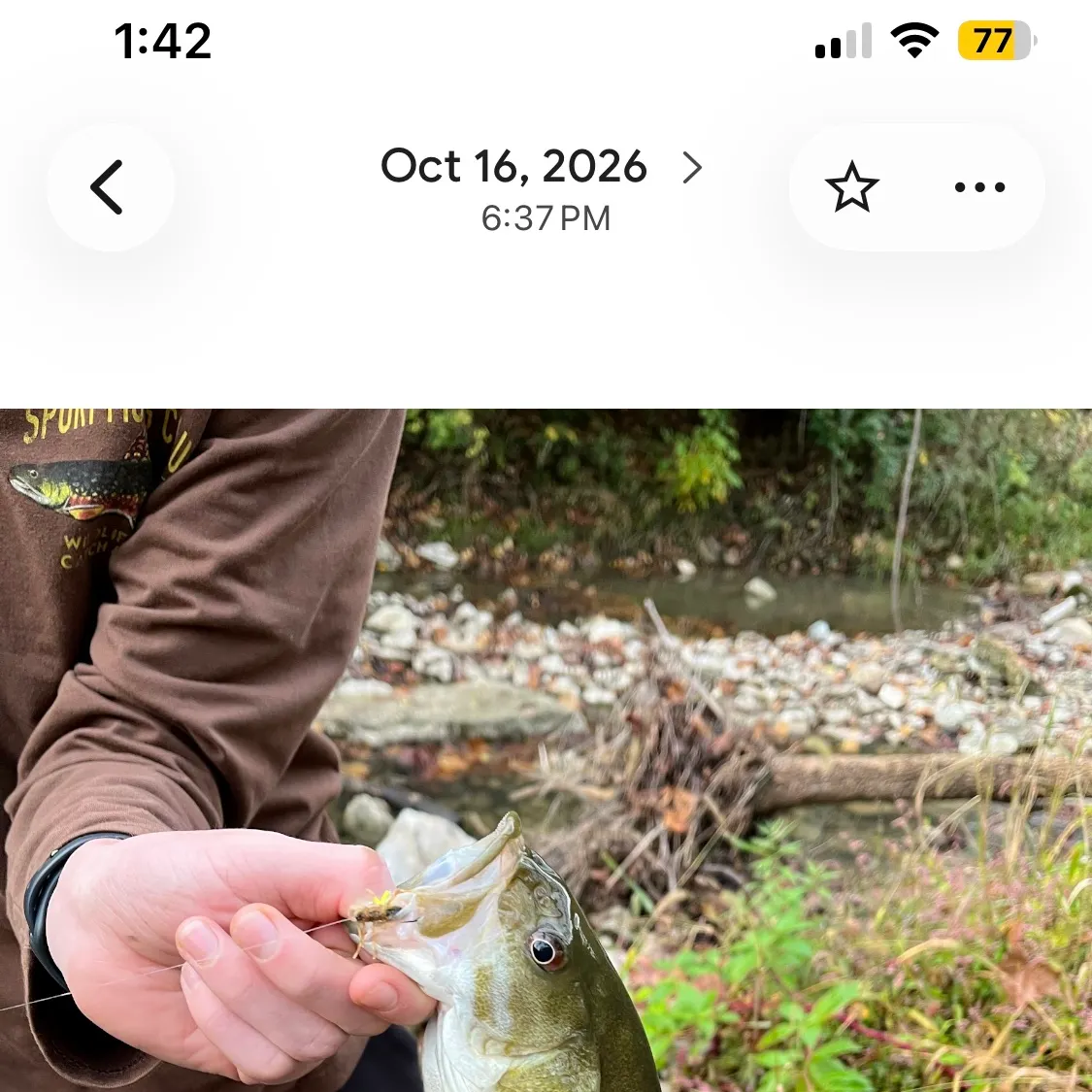 Smallmouth bass caught on Fishbrain