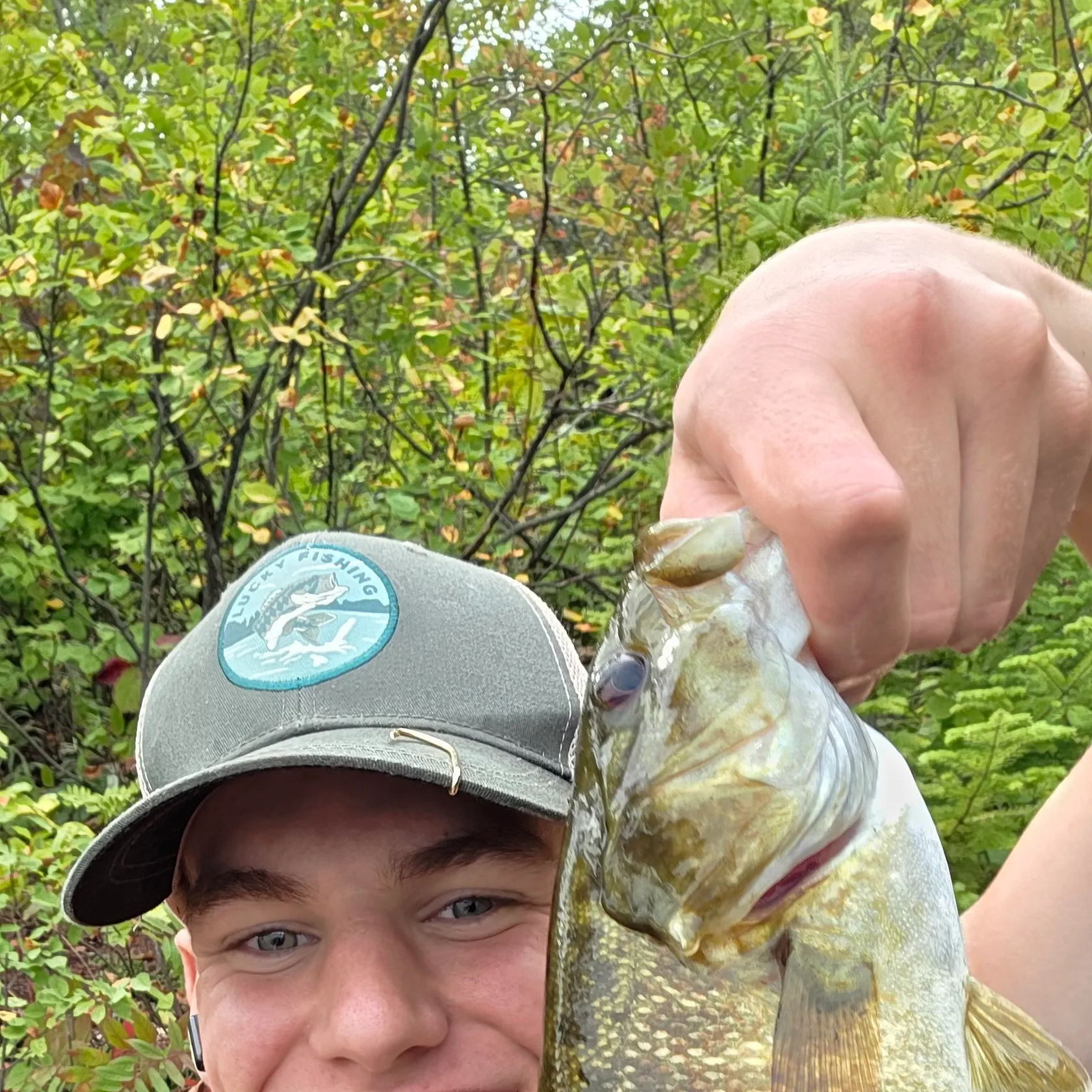 Smallmouth bass caught on Fishbrain