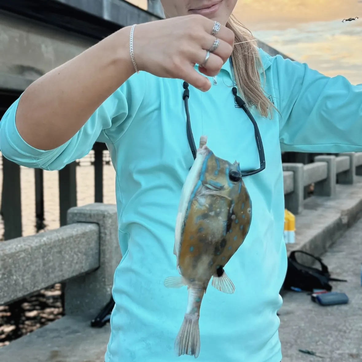 The most recent Scrawled cowfish catches on Fishbrain