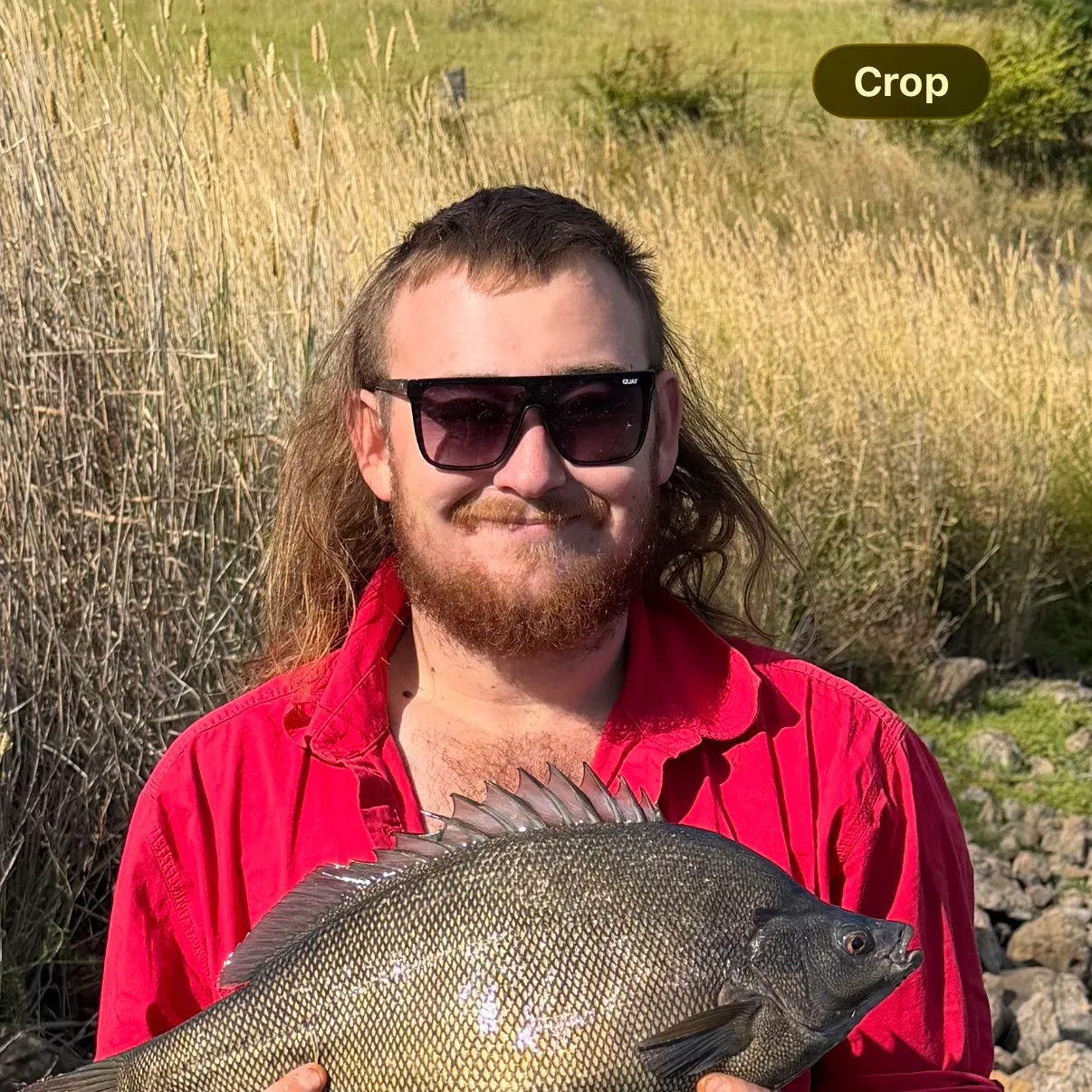 The most recent Bidyan perch catches on Fishbrain