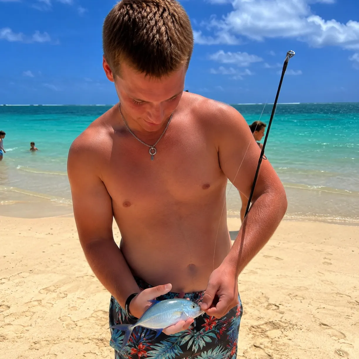 The most recent Bluefin trevally catches on Fishbrain