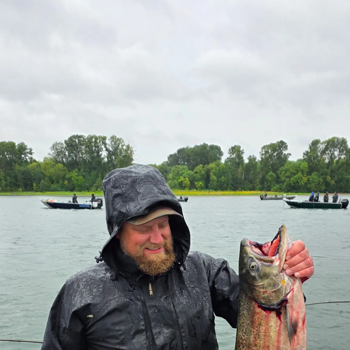 Chinook salmon caught on Fishbrain