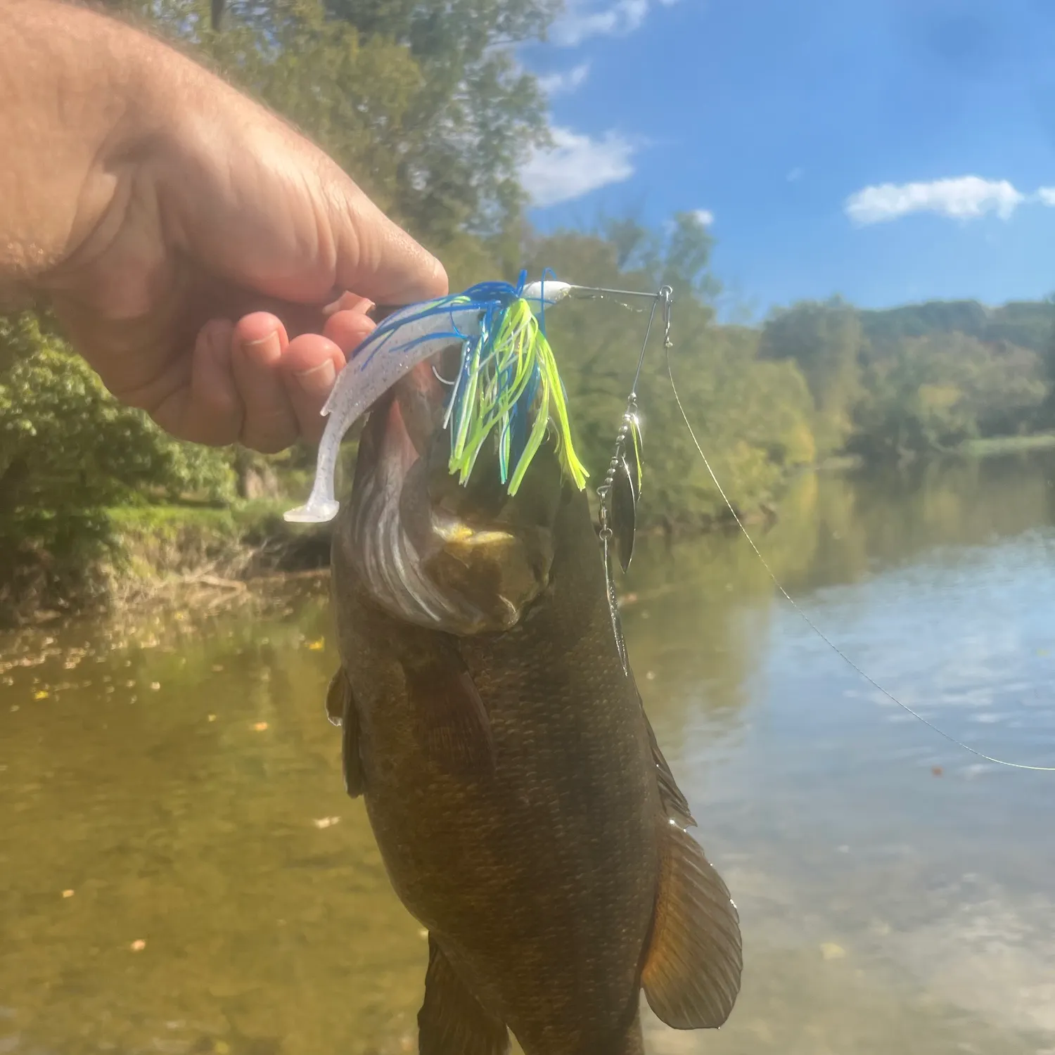 Smallmouth bass caught on Fishbrain