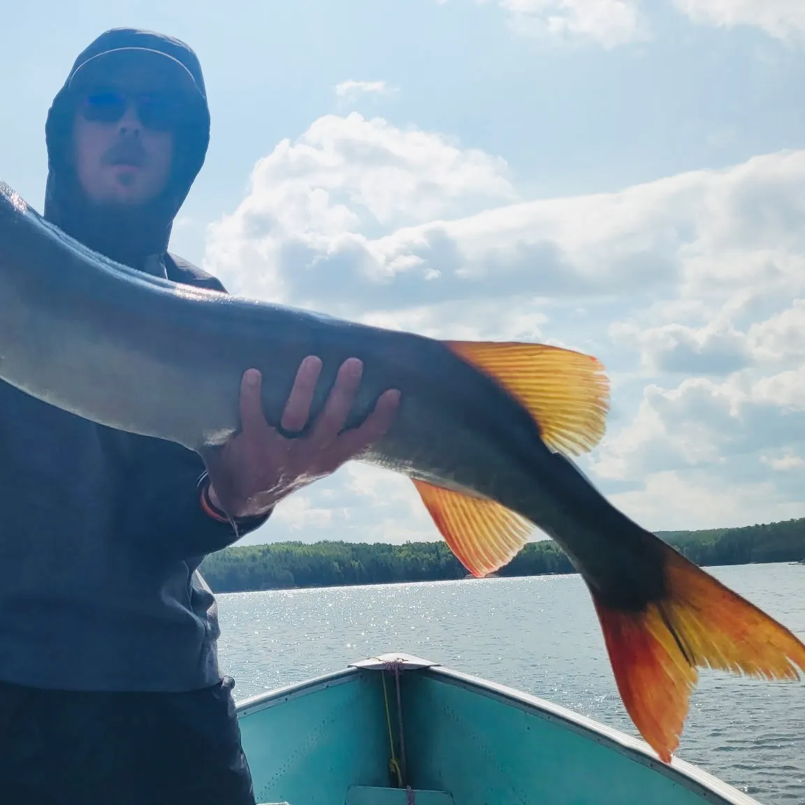 Muskie caught on Fishbrain