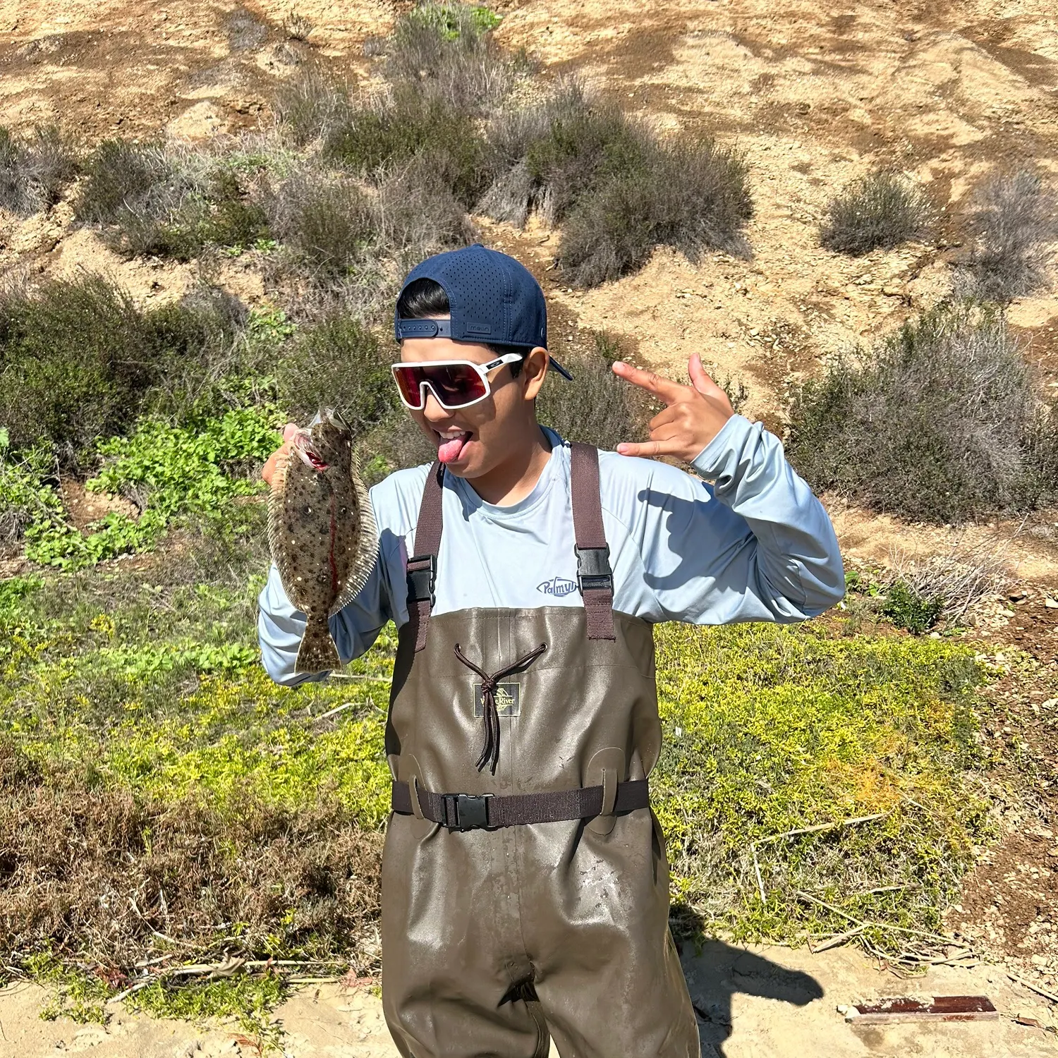 The most recent California halibut catches on Fishbrain