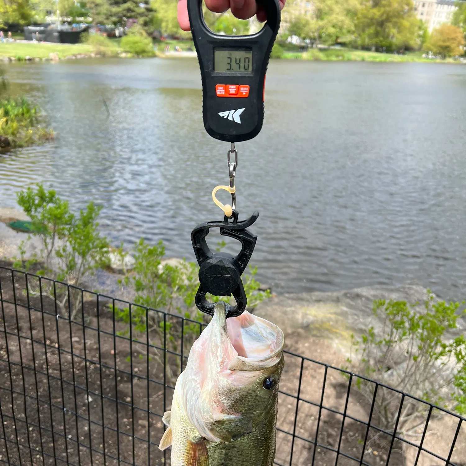 catch
