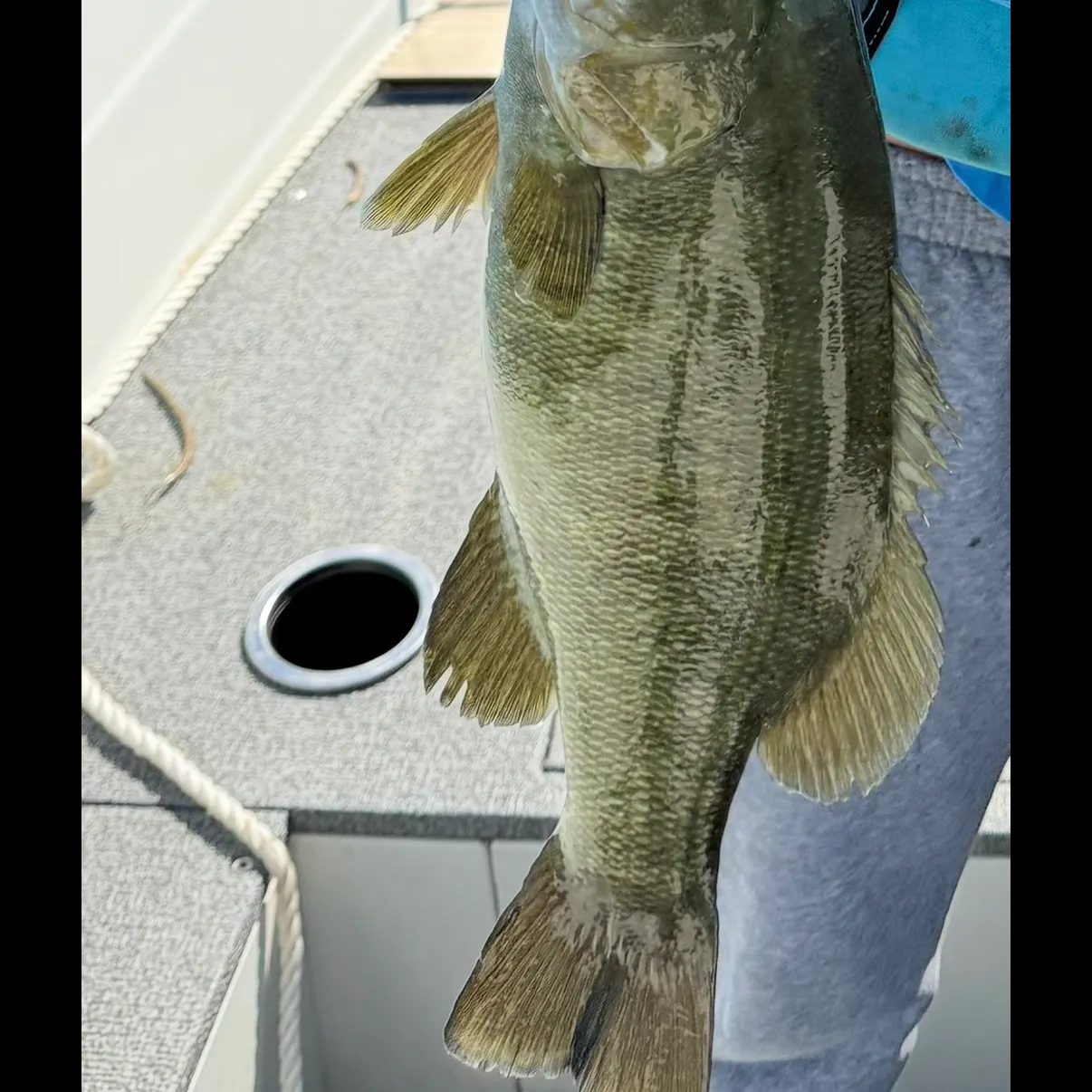 Smallmouth bass caught on Fishbrain