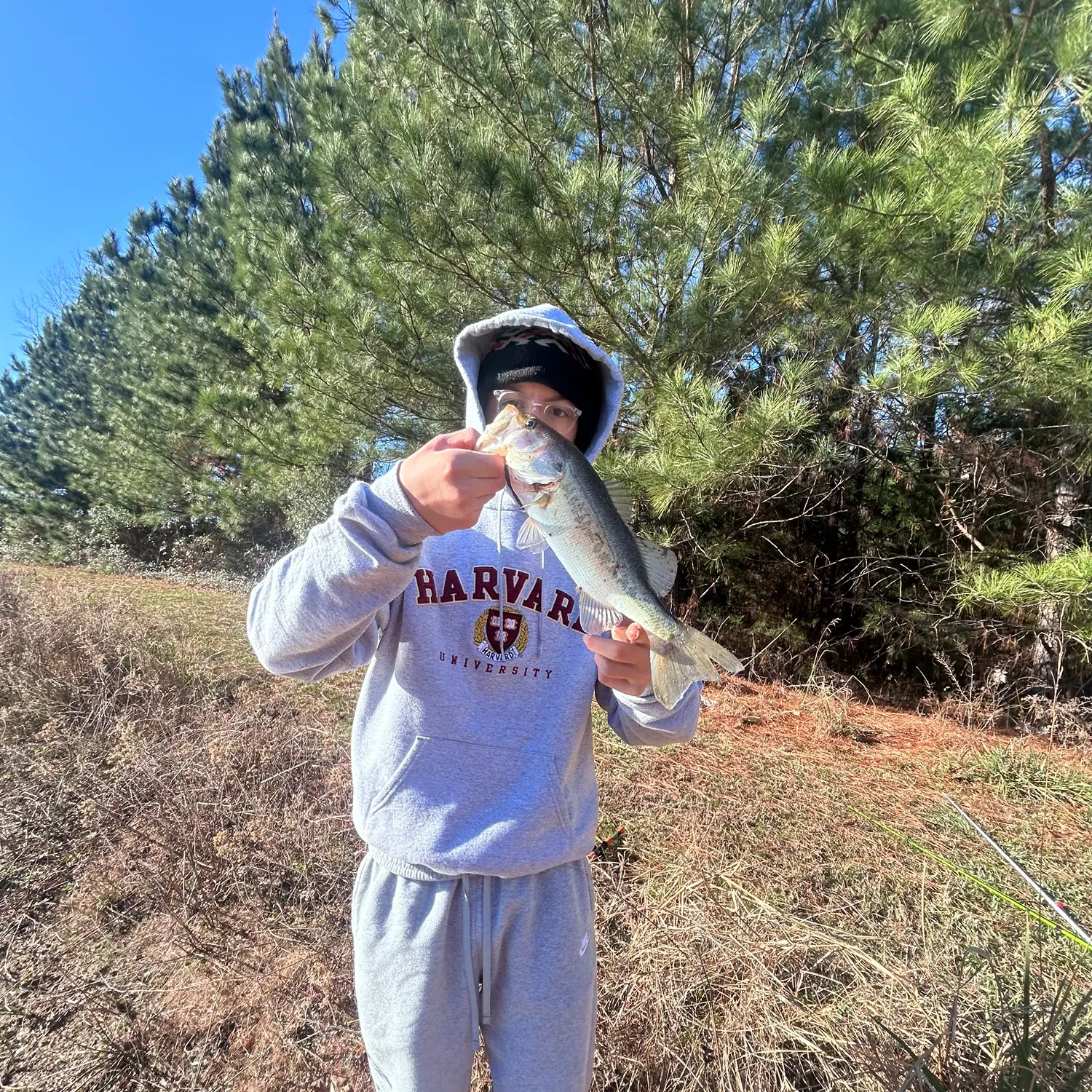 The most recent Northern hogsucker catches on Fishbrain