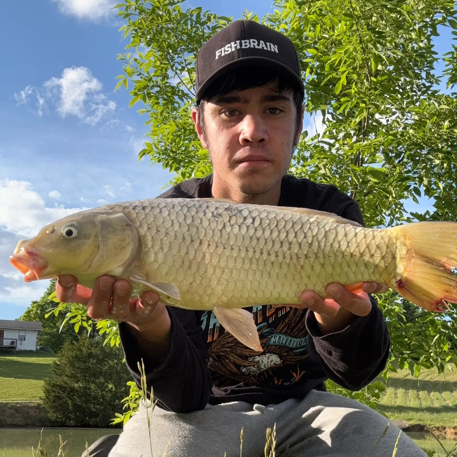 The most recent Ghost carp catches on Fishbrain