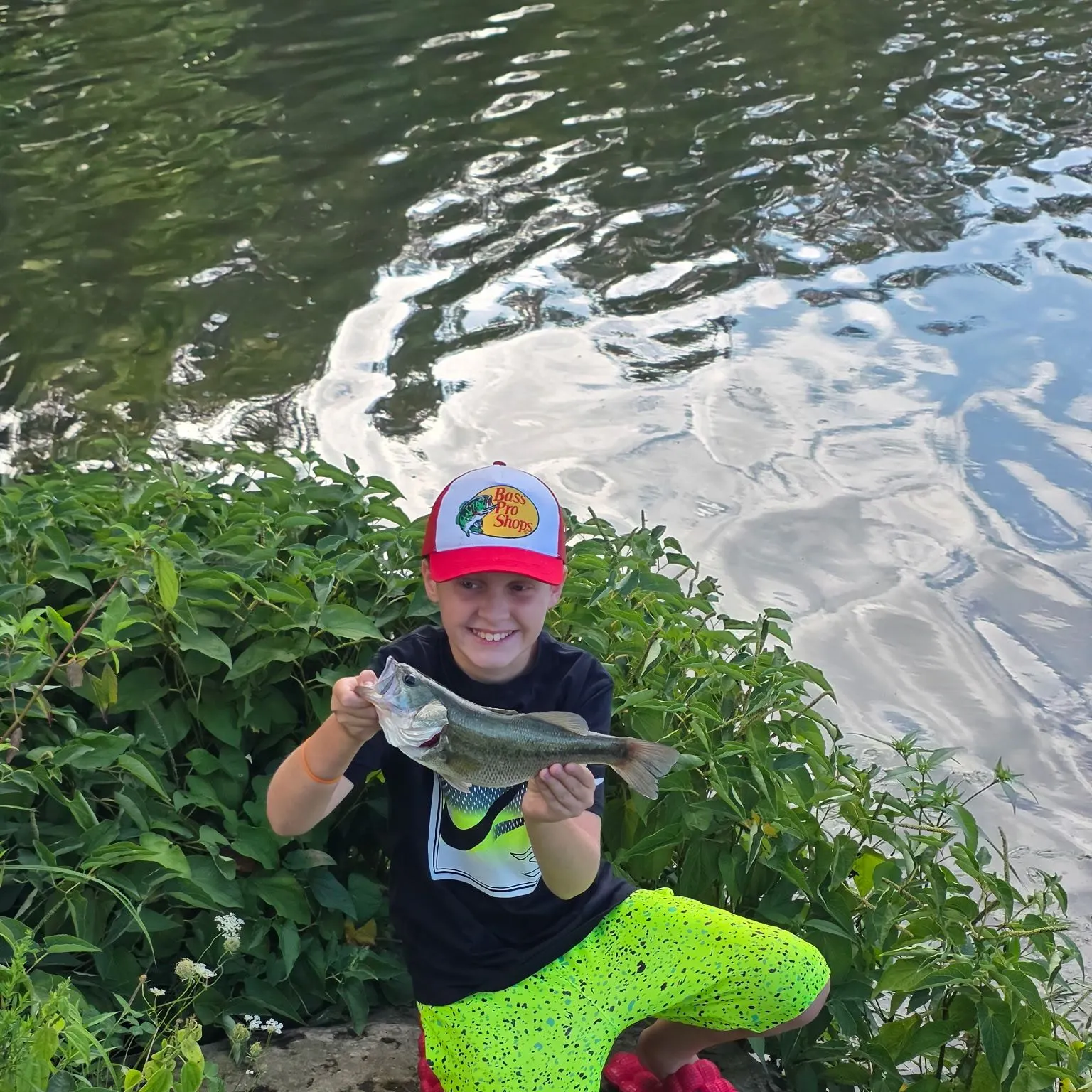 Largemouth bass caught on Fishbrain
