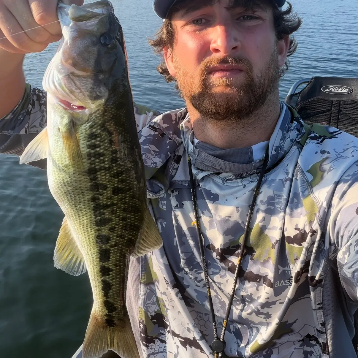 Spotted bass caught on Fishbrain