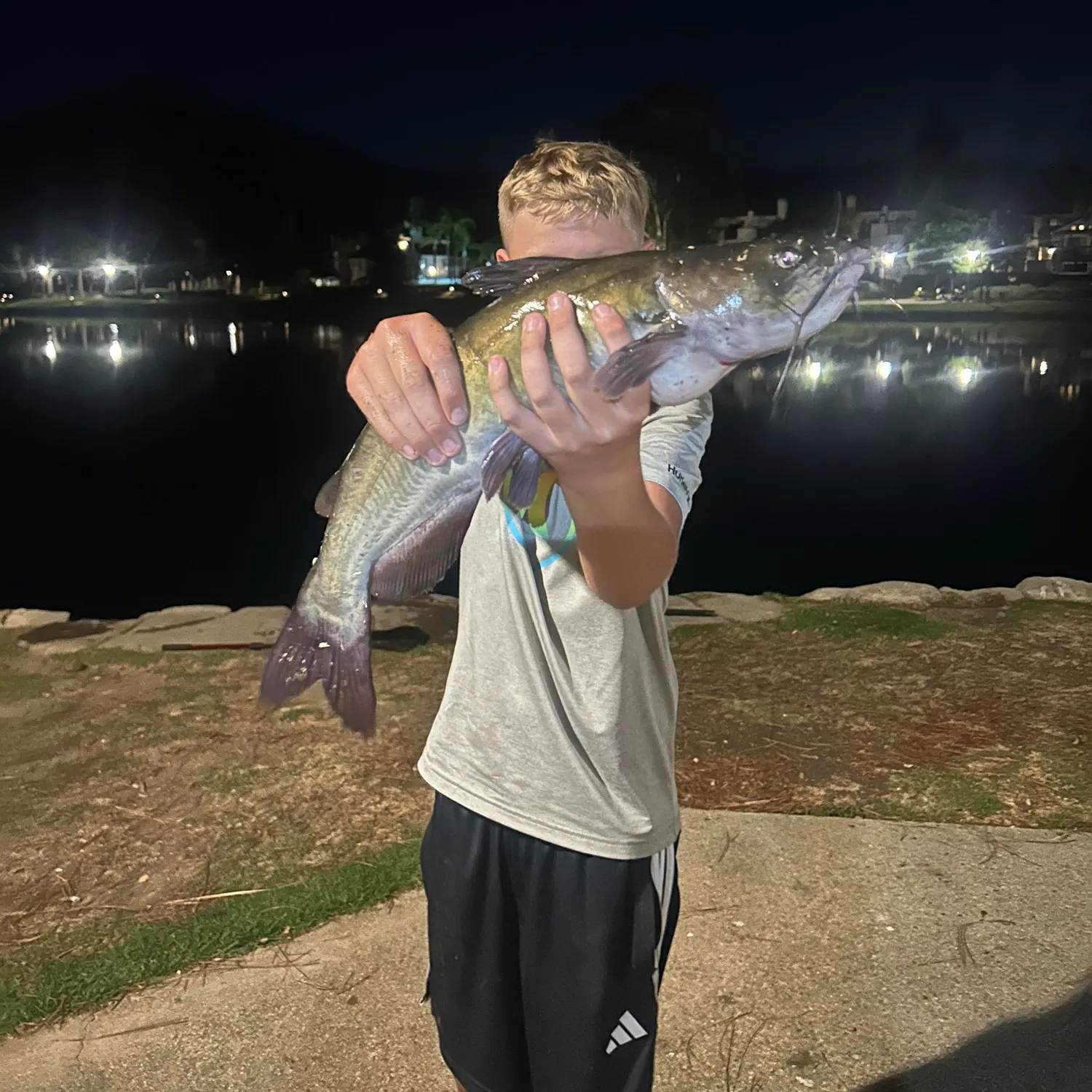 Channel catfish caught on Fishbrain