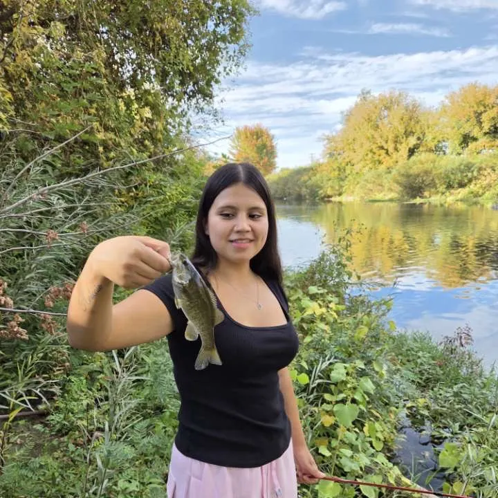 Smallmouth bass caught on Fishbrain
