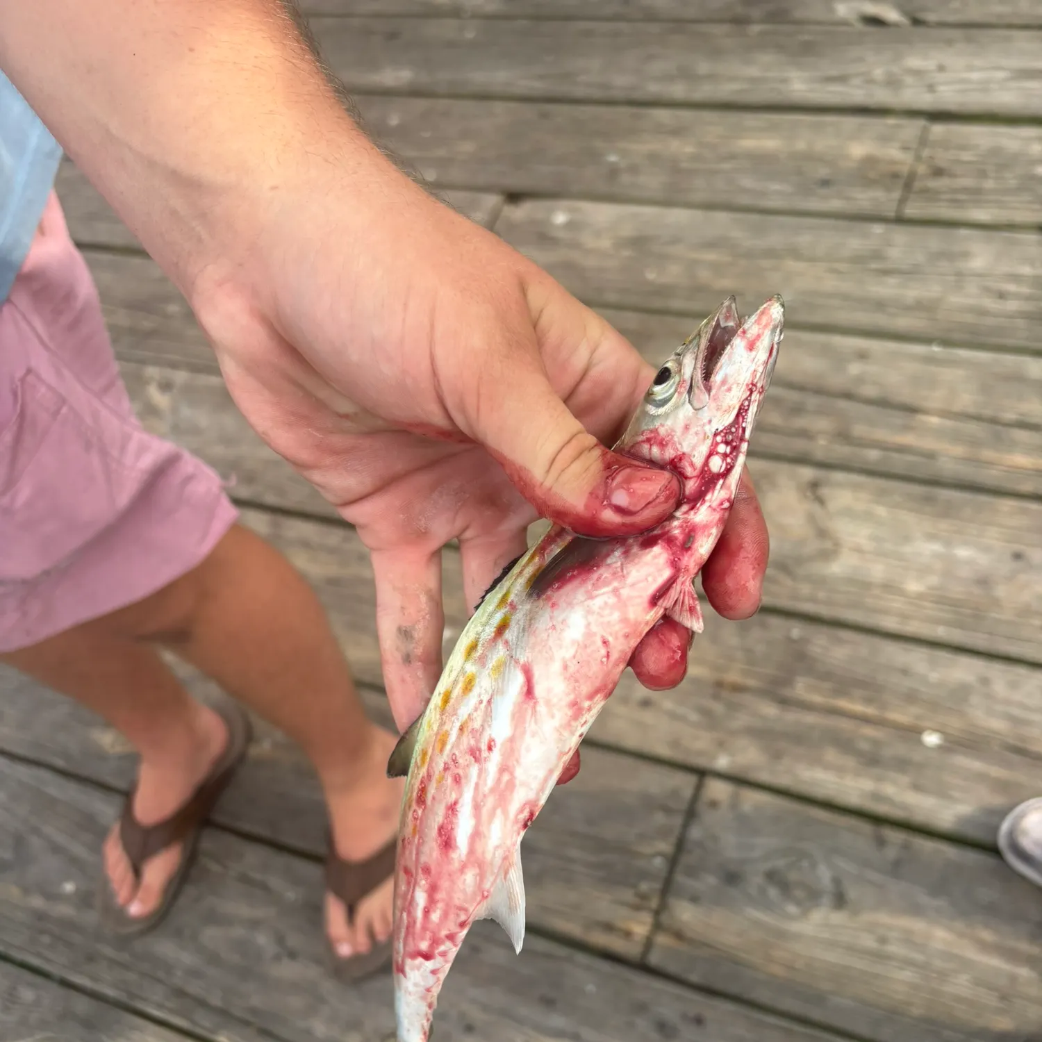 catch