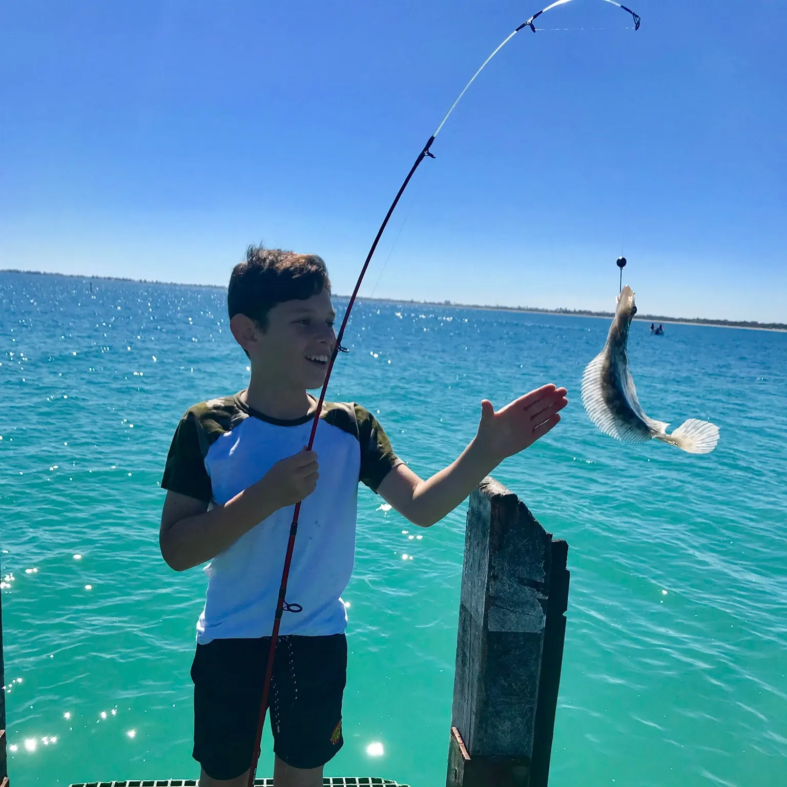 The most recent Smalltooth flounder catches on Fishbrain
