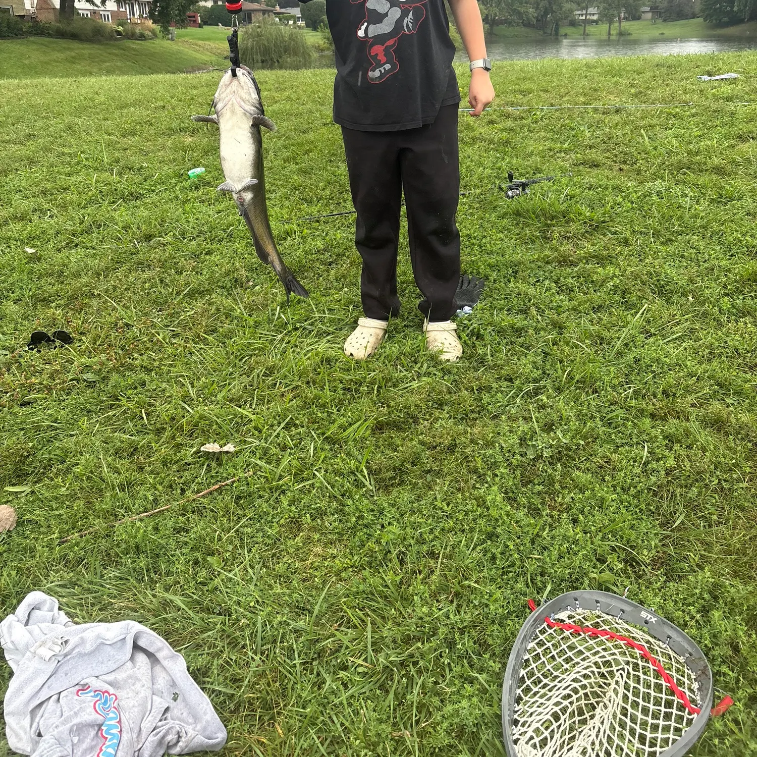Channel catfish caught on Fishbrain