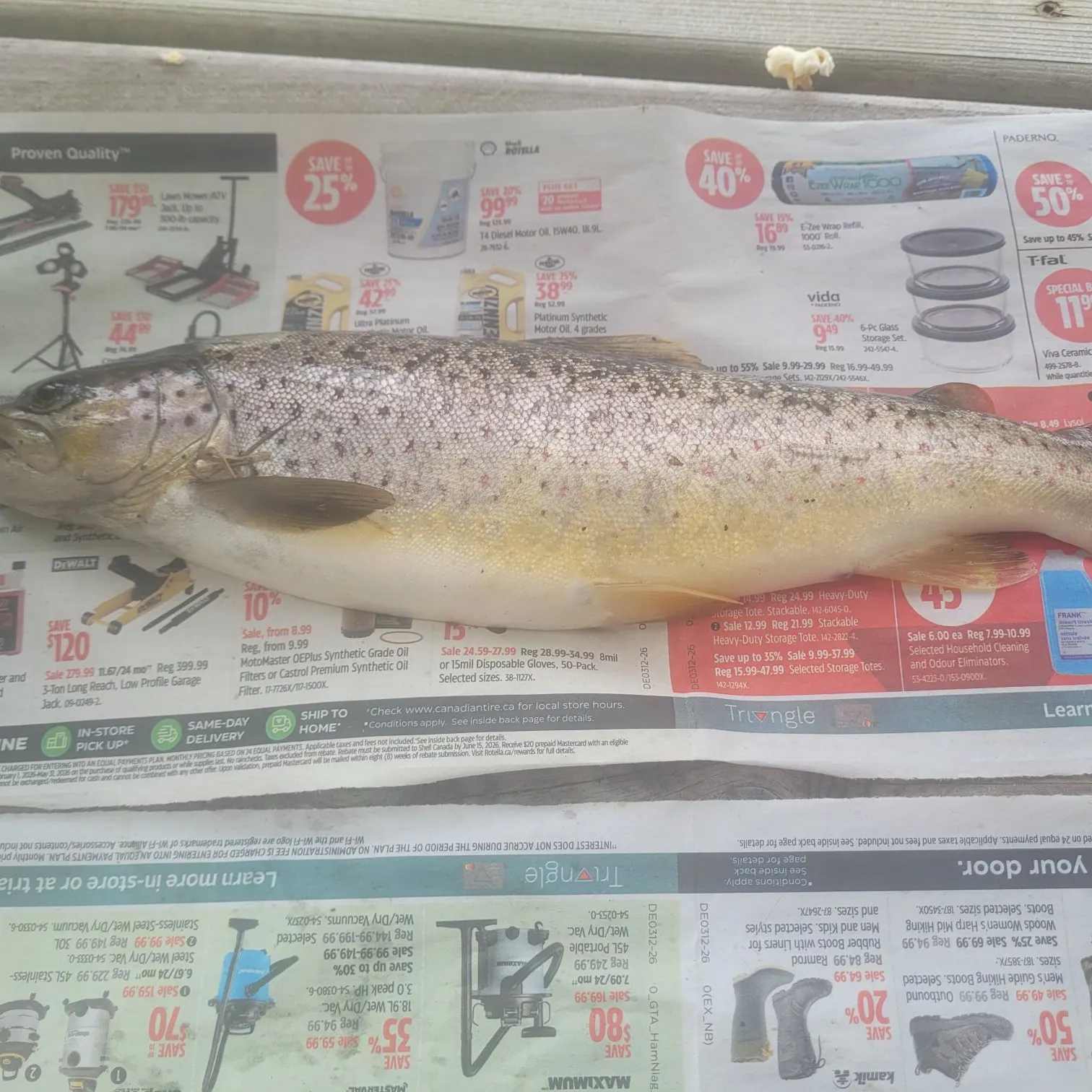 recently logged catches