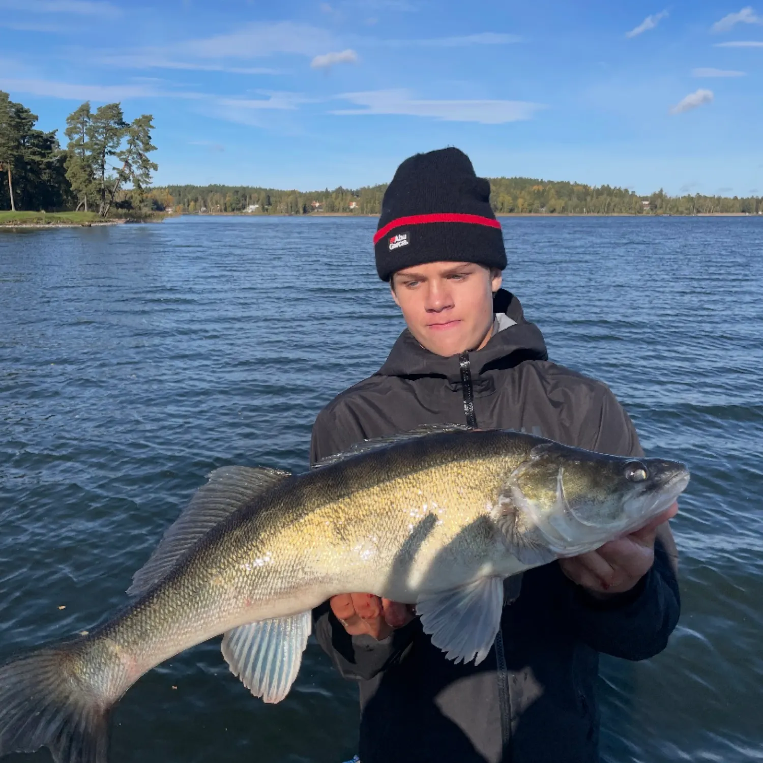 most liked catch image