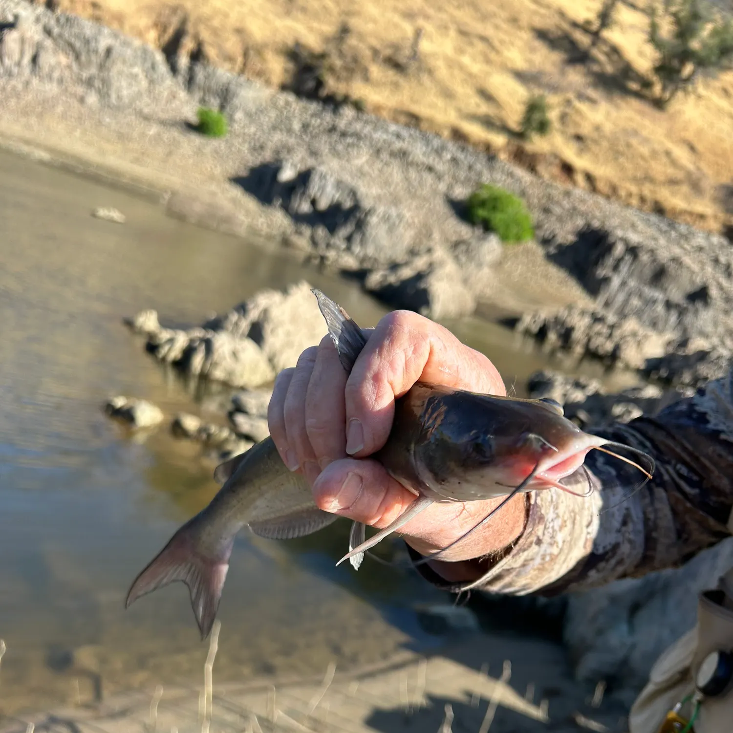 catch