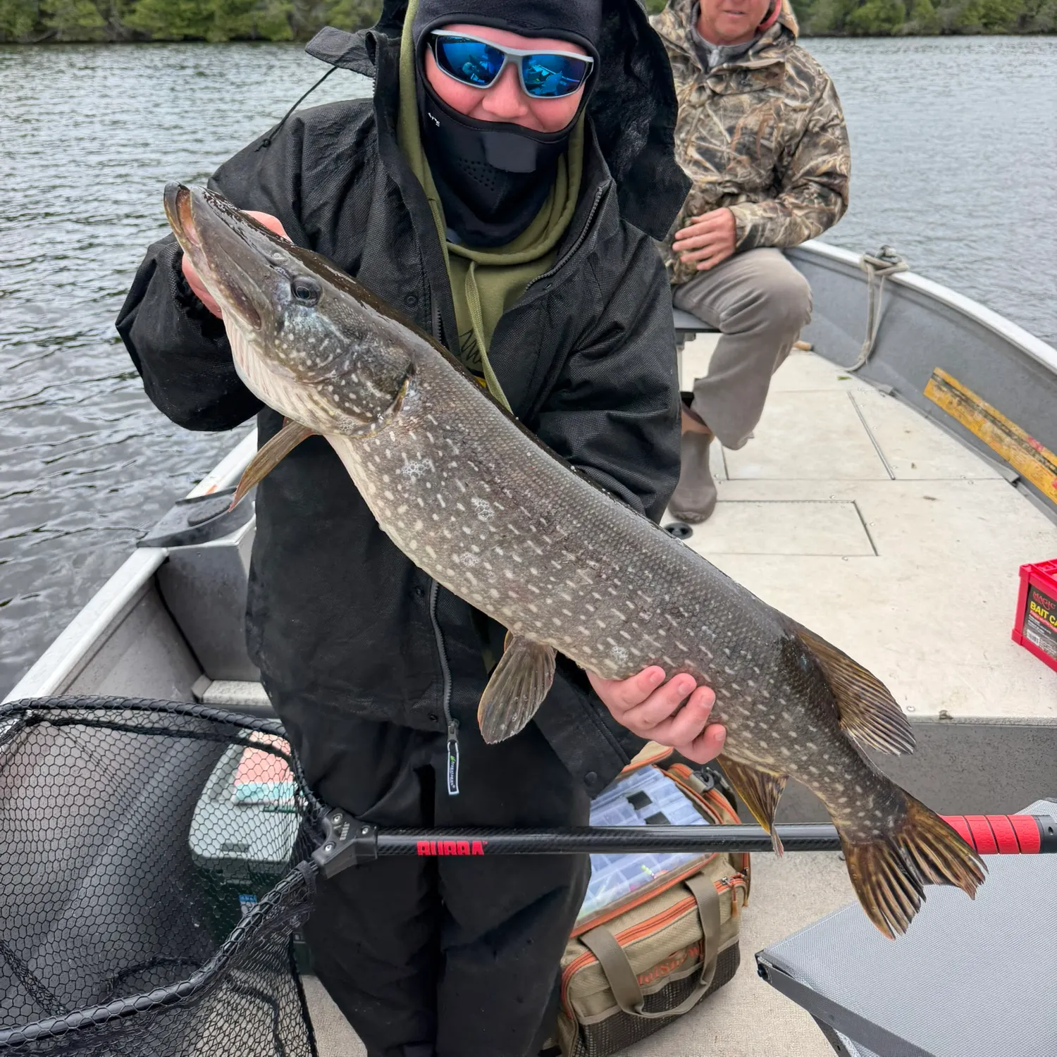 Northern pike caught on Fishbrain