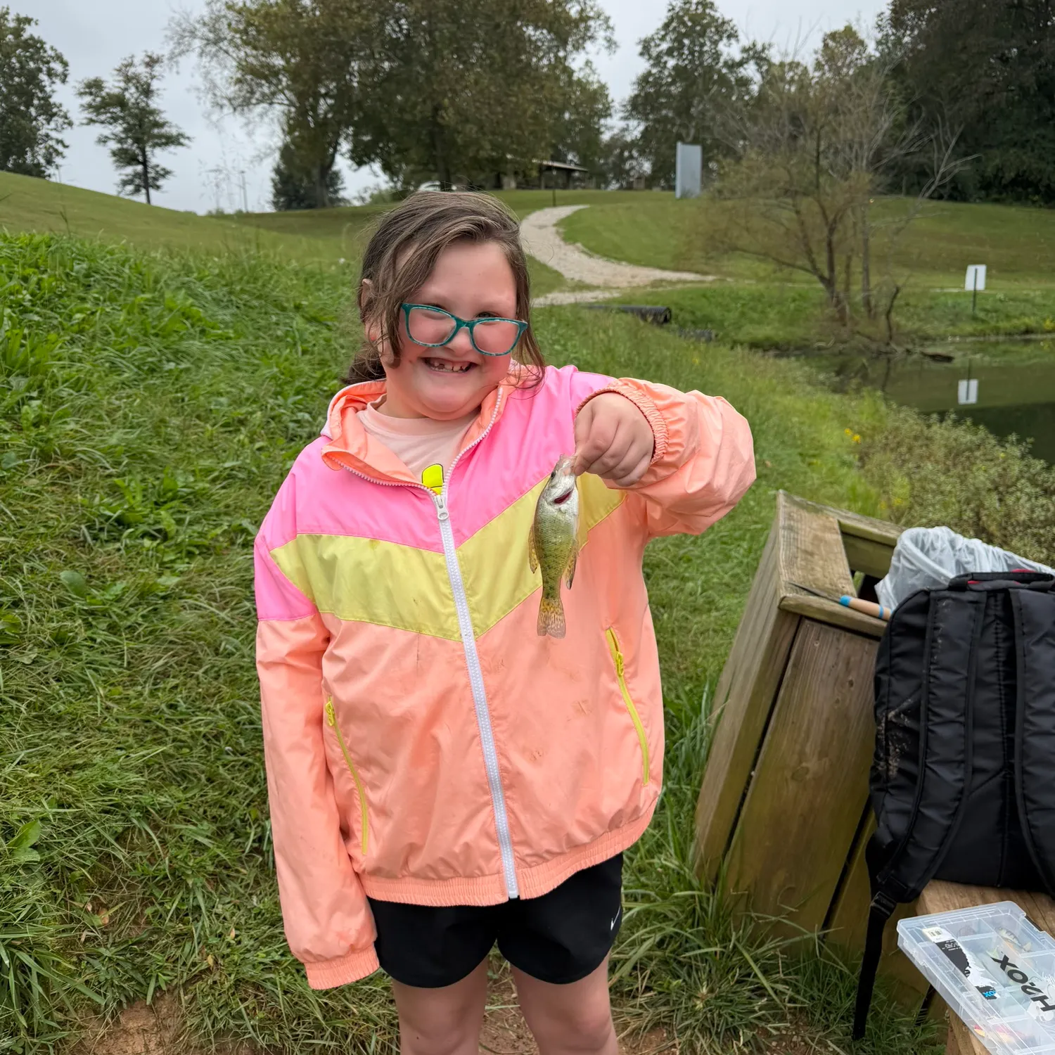 Black crappie caught on Fishbrain