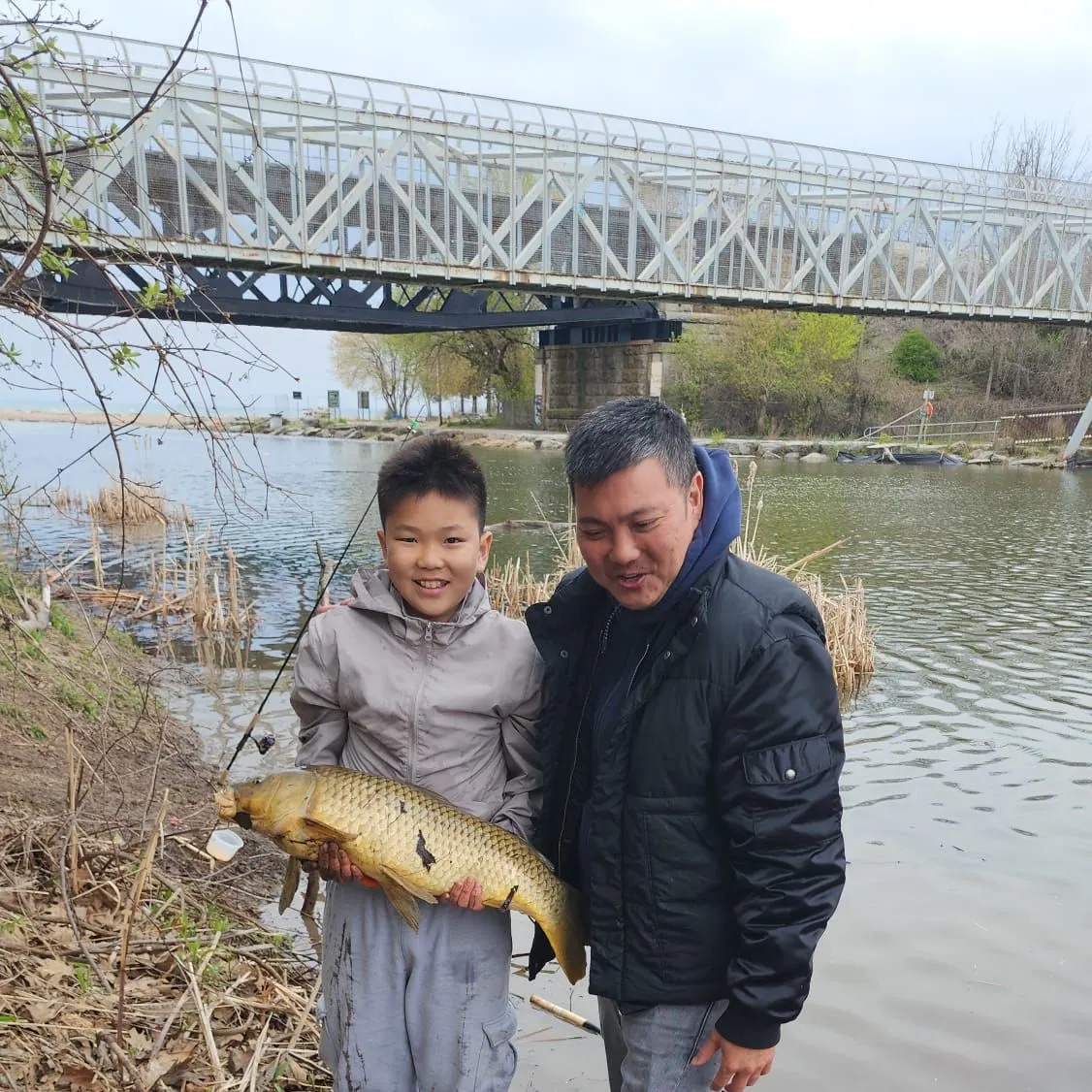 Common carp caught on Fishbrain
