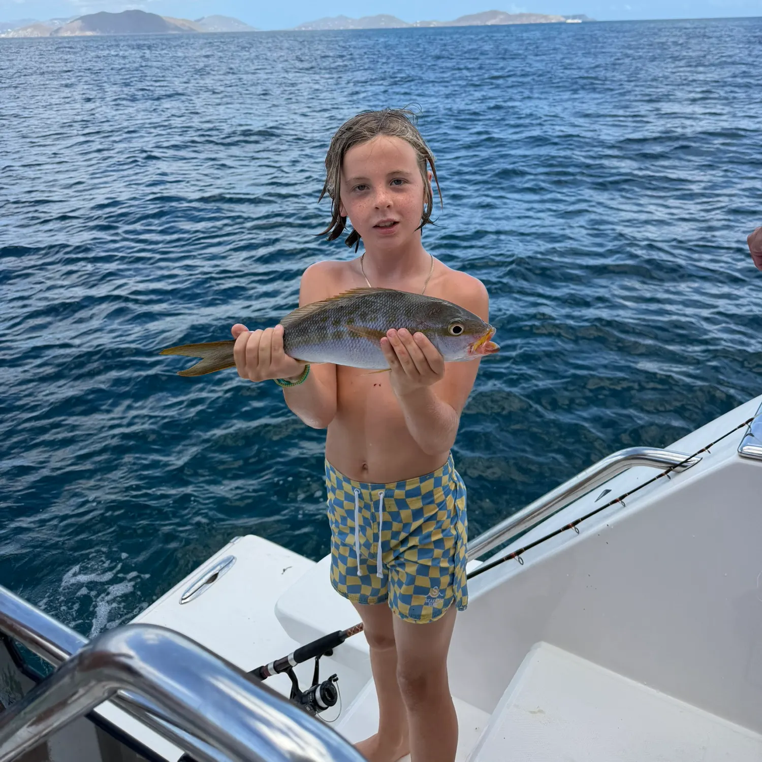 Lane snapper caught on Fishbrain