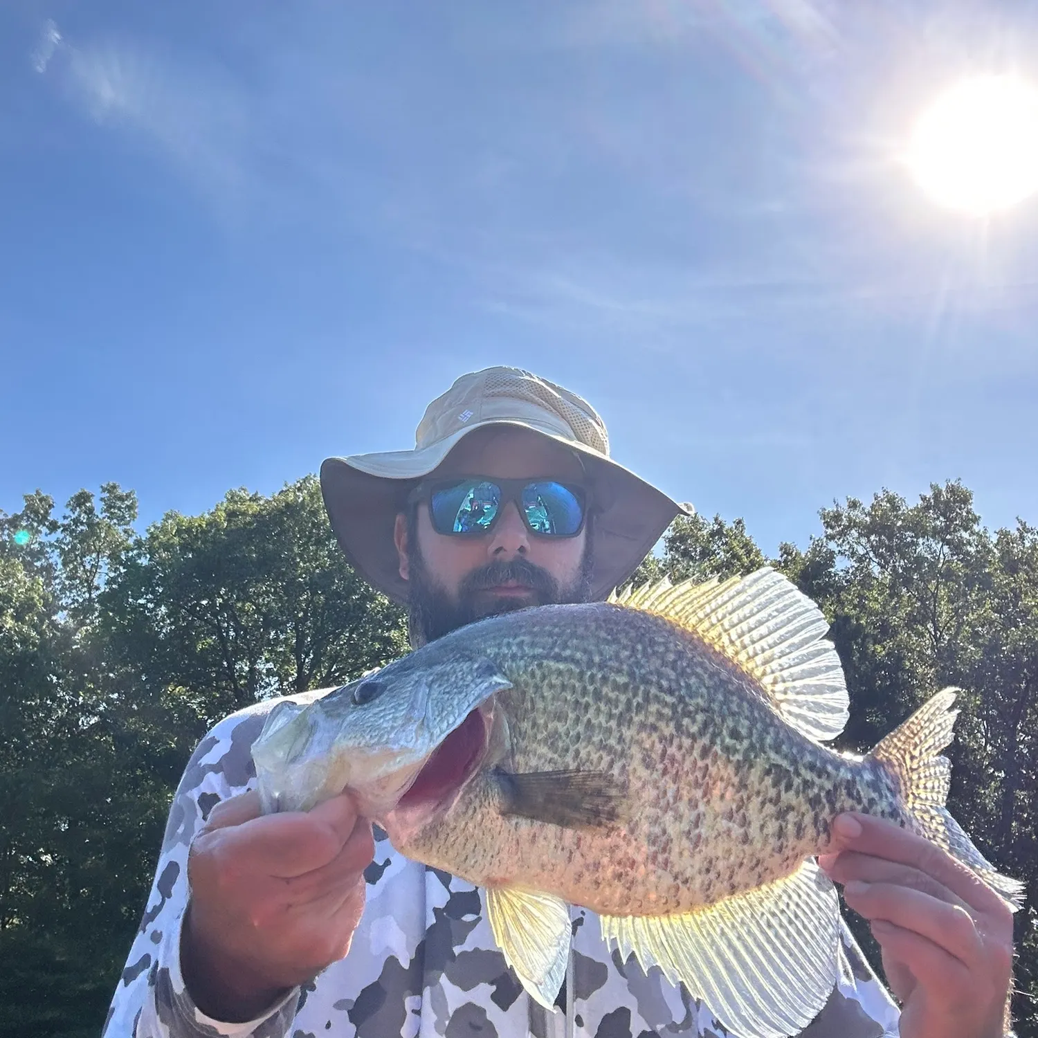Black crappie caught on Fishbrain