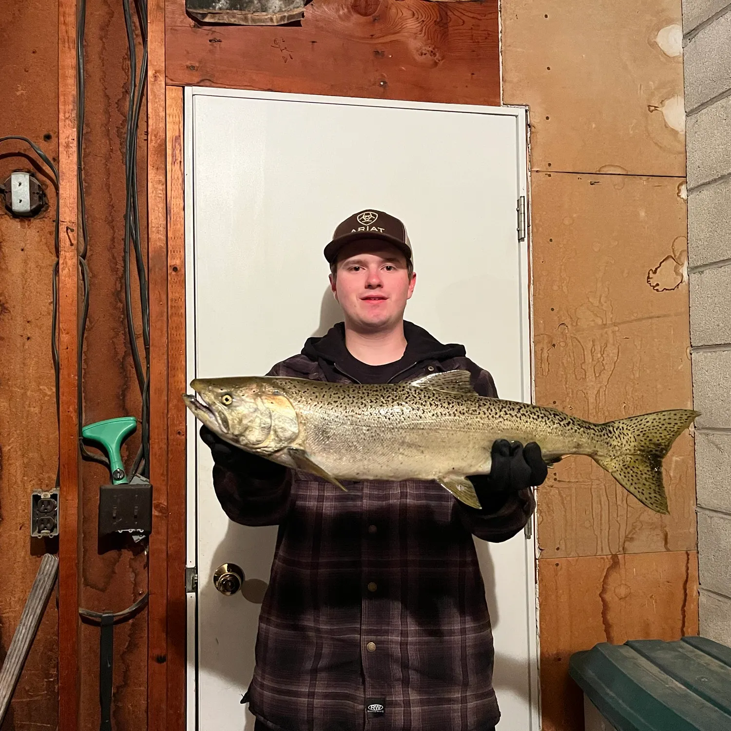 Chinook salmon caught on Fishbrain