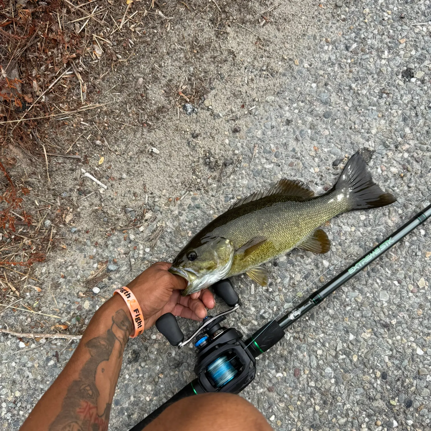 recently logged catches