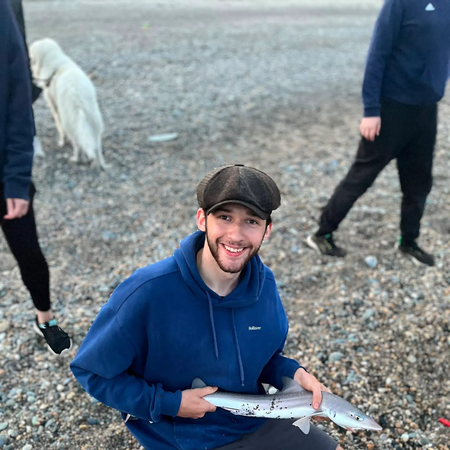 The most recent Common smooth-hound catches on Fishbrain