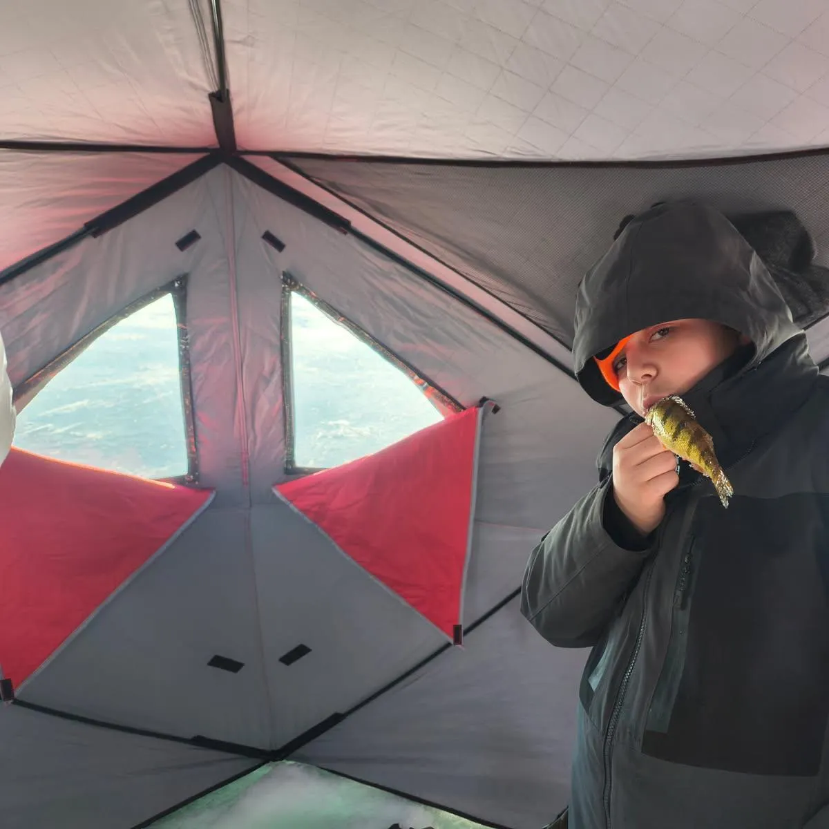 The most recent Great white shark catches on Fishbrain