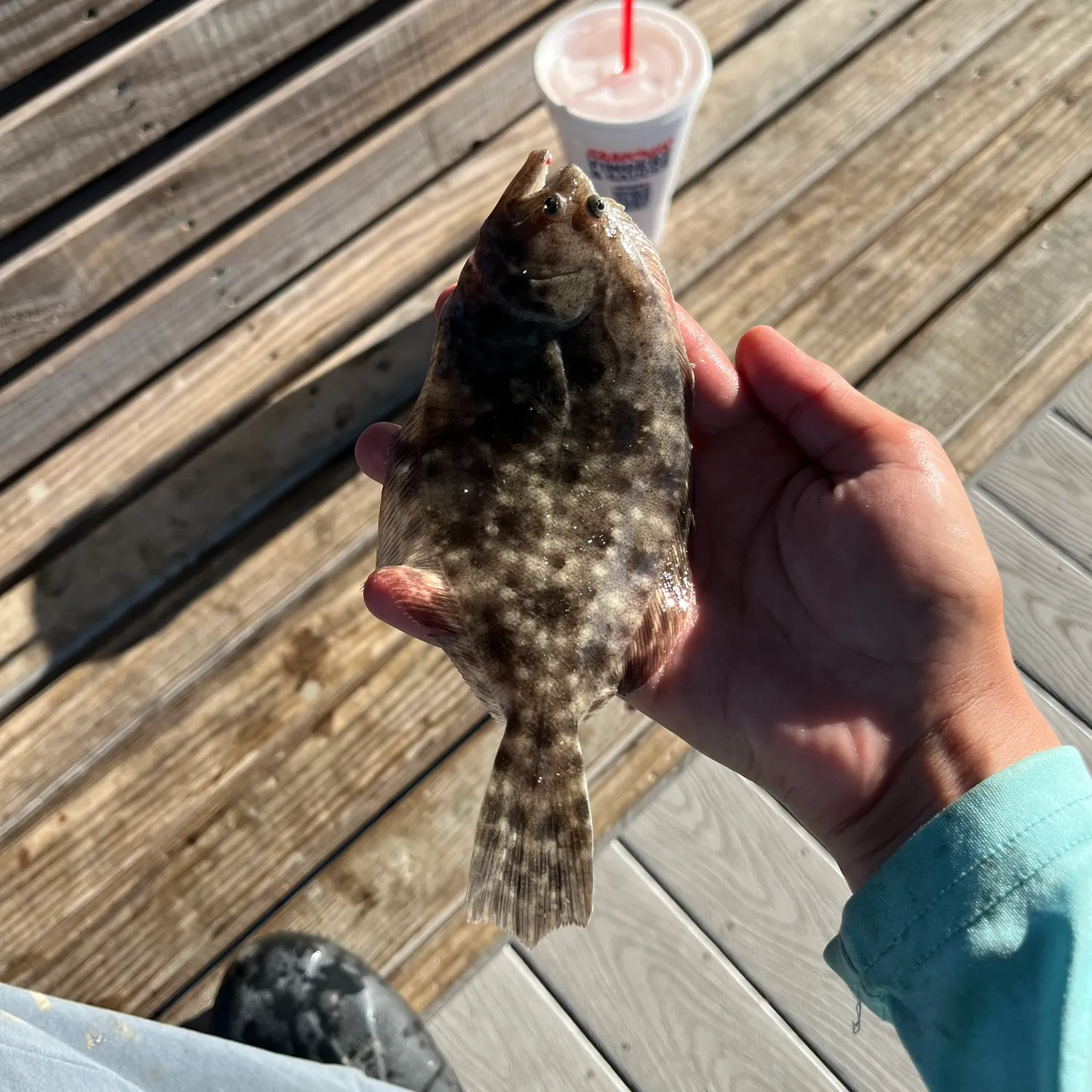 The most recent Southern flounder catches on Fishbrain